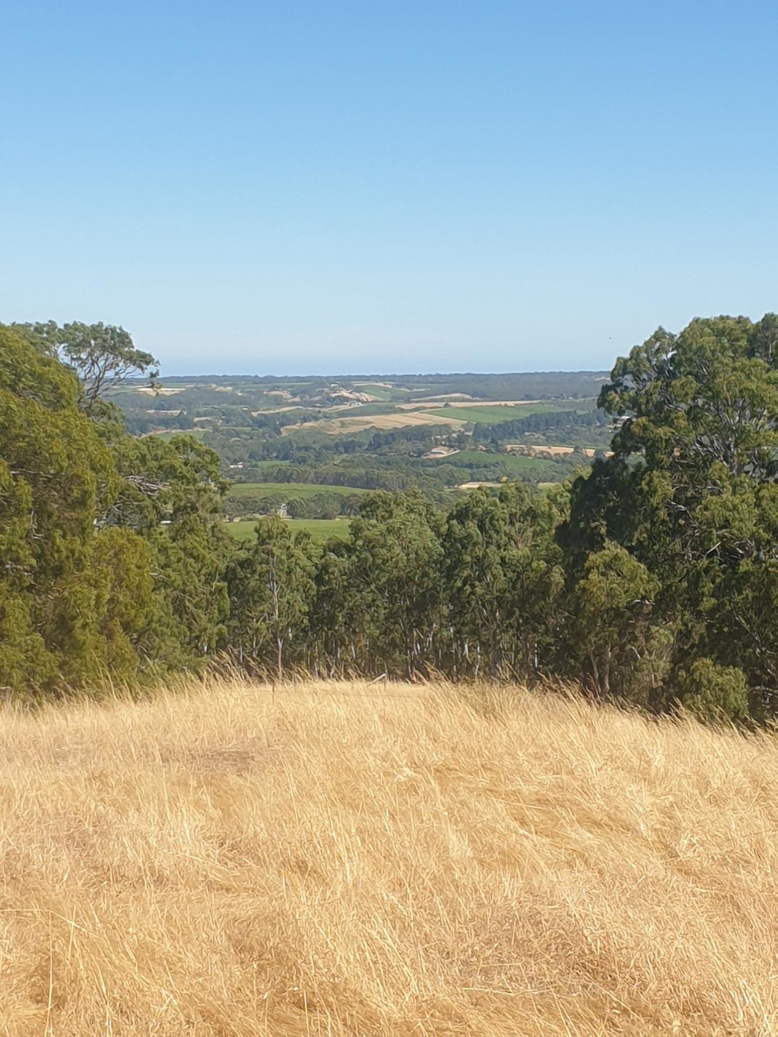 Recommended trailer site for overnight