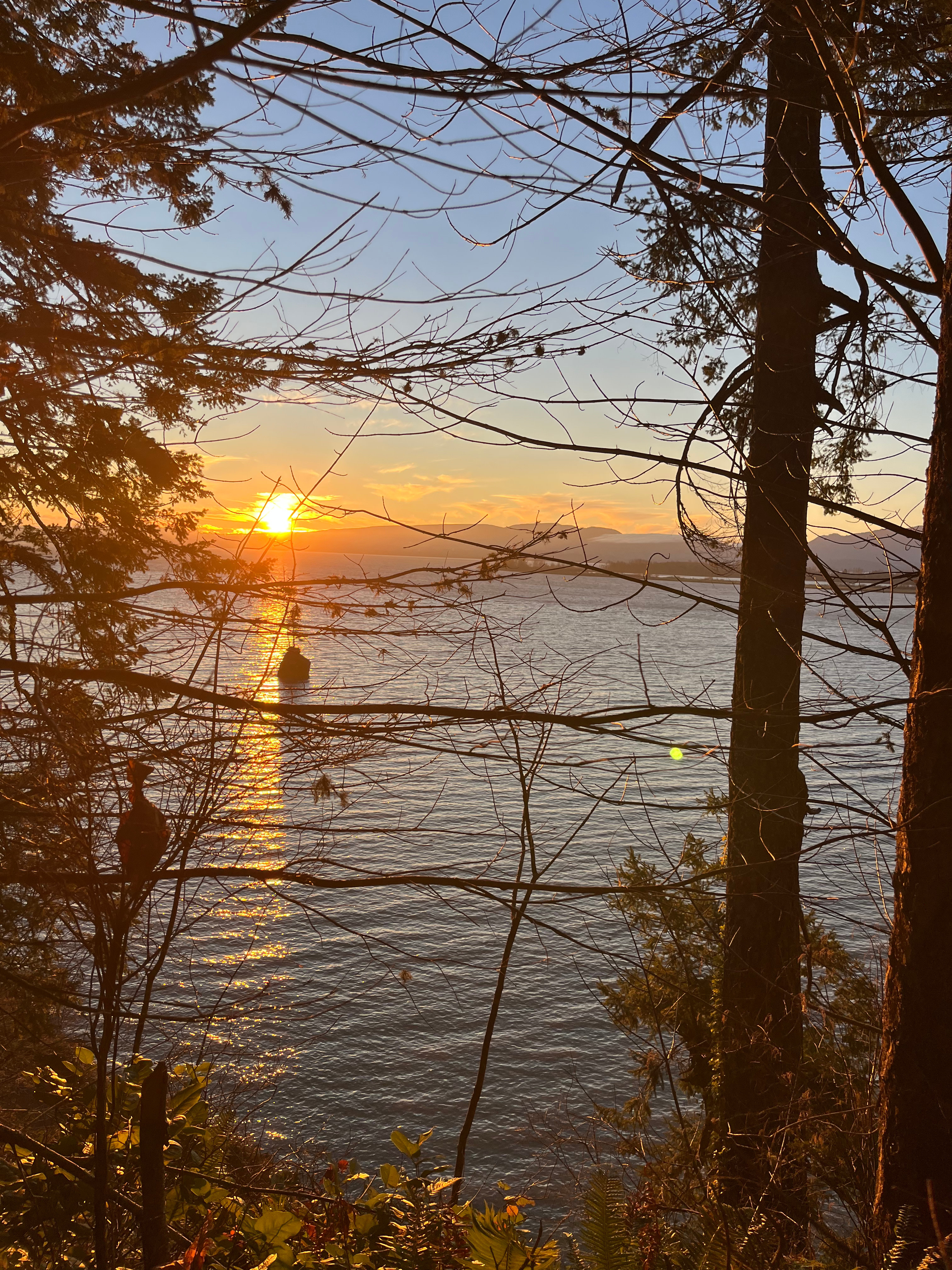 Sunrise from Creekside Campsite