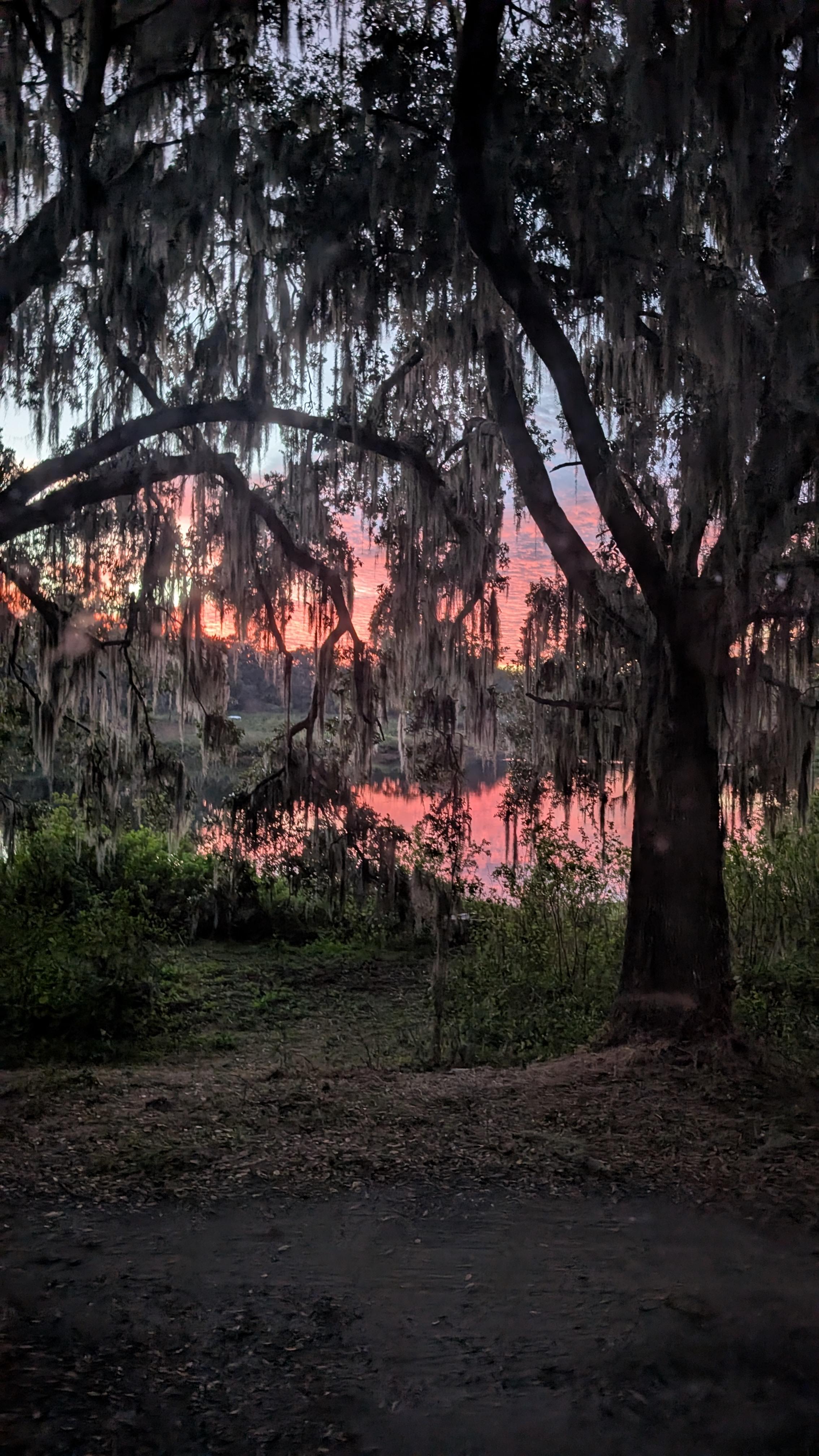 Vanam: In Harmony With Nature