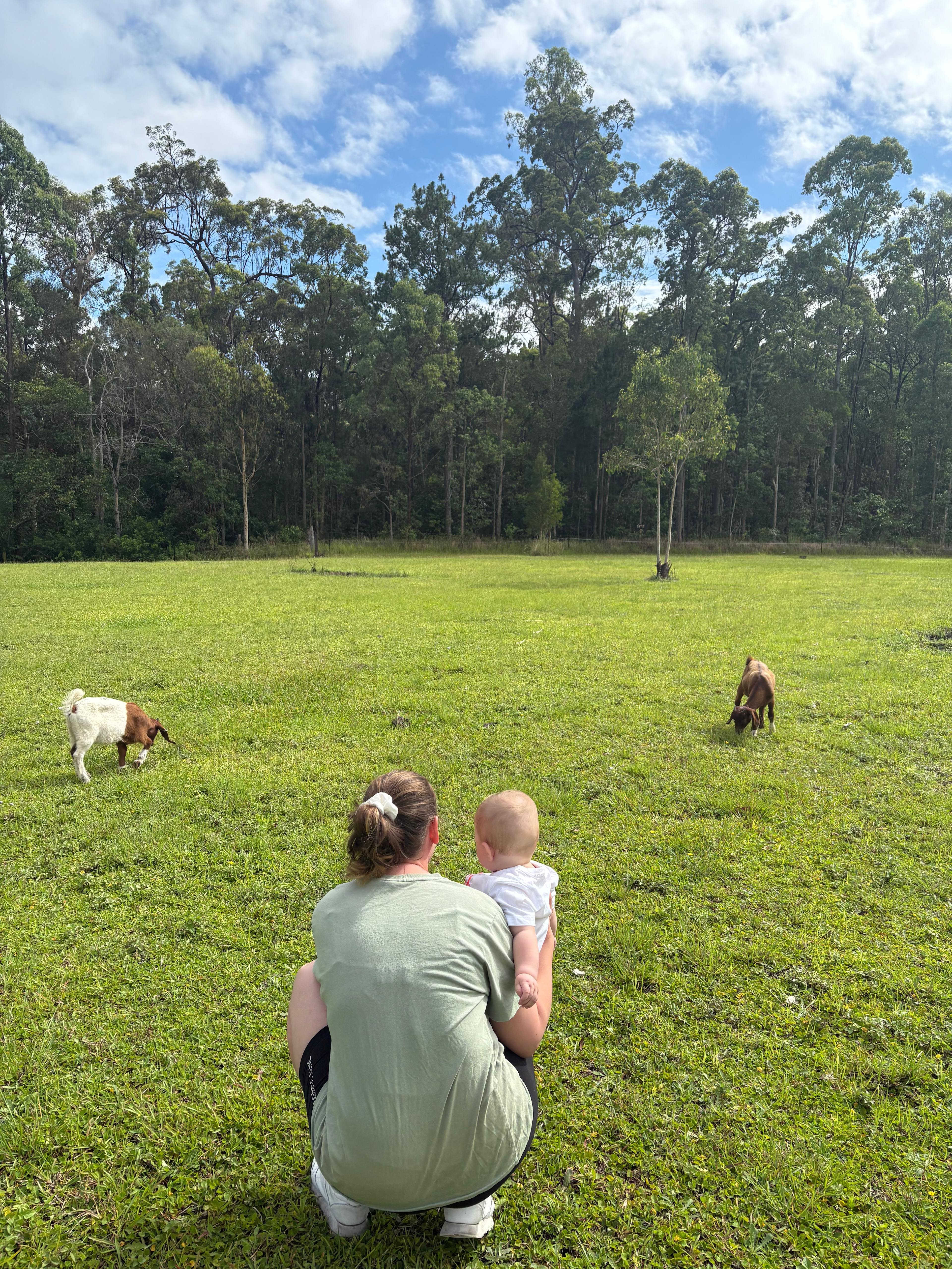 Rocky Creek Grasslands