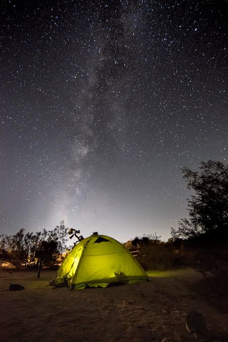 Llano Desert Heaven 🌵