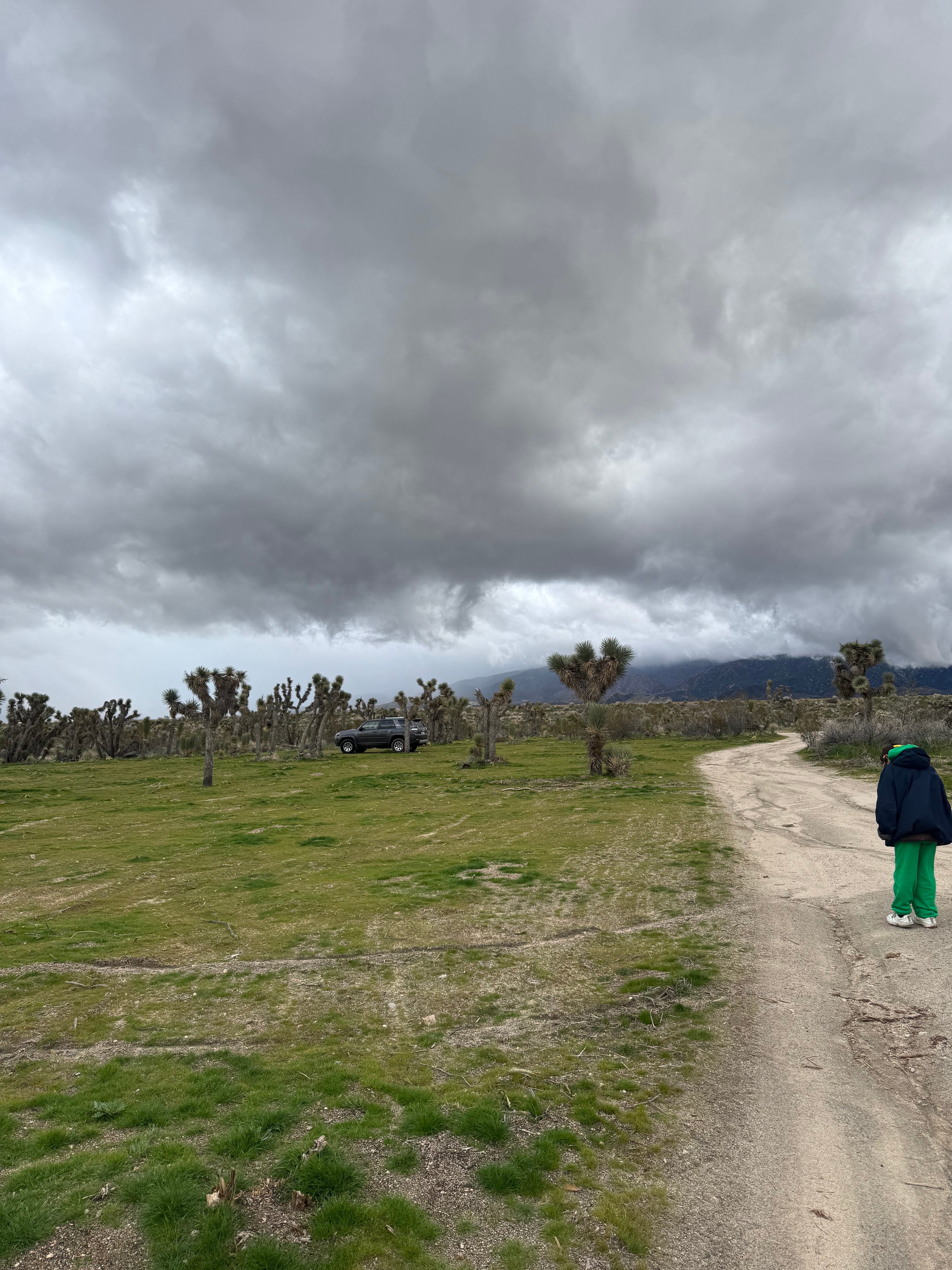 Llano Desert Heaven 🌵