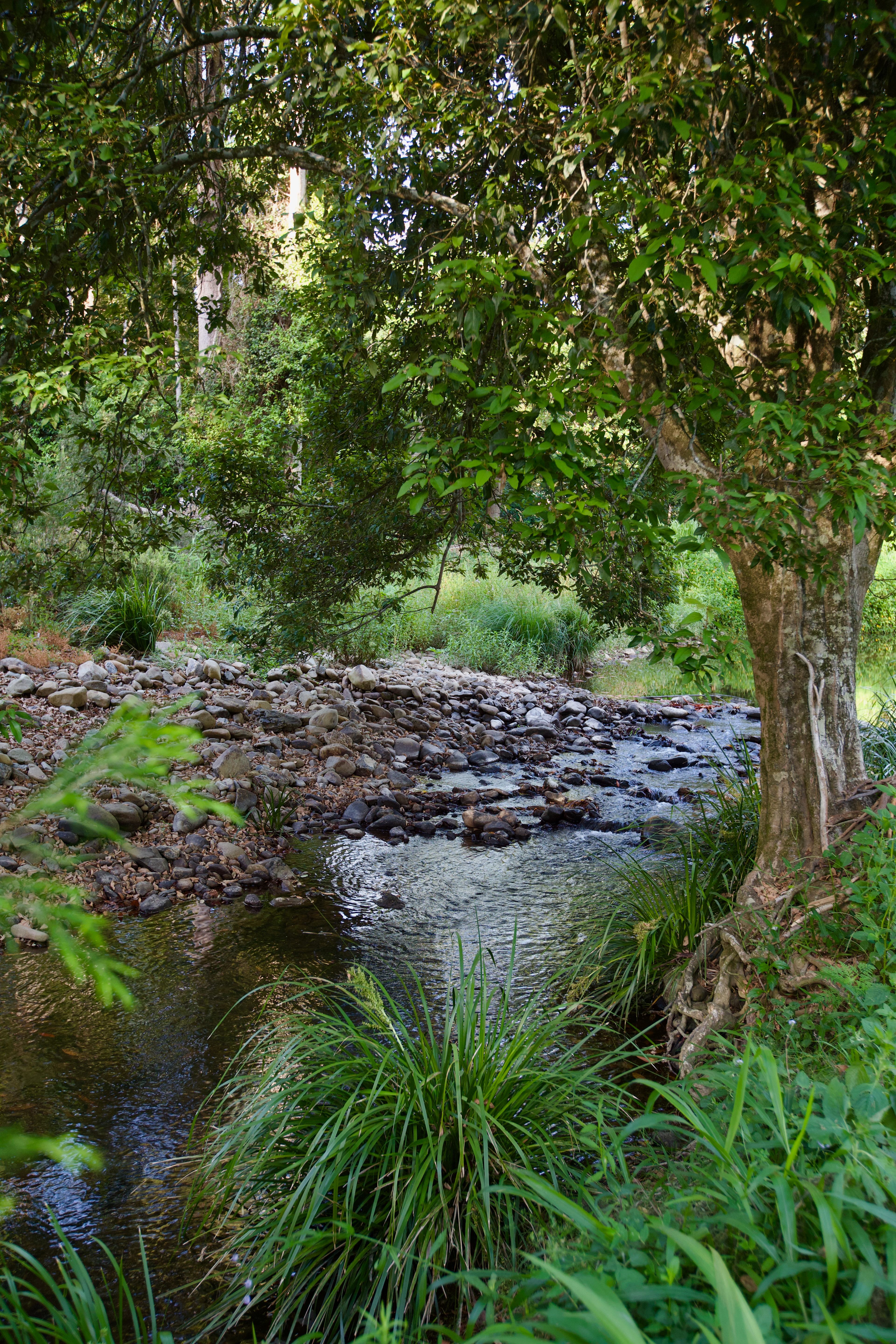 Wongawallan Creek Estate