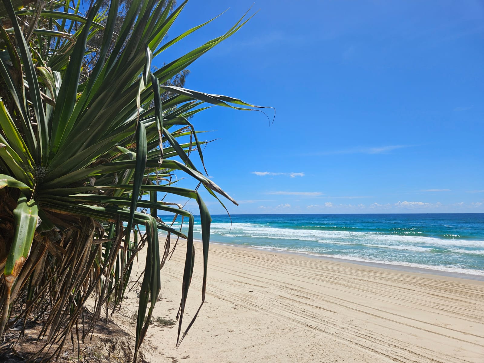 Baangu Ocean View Camping