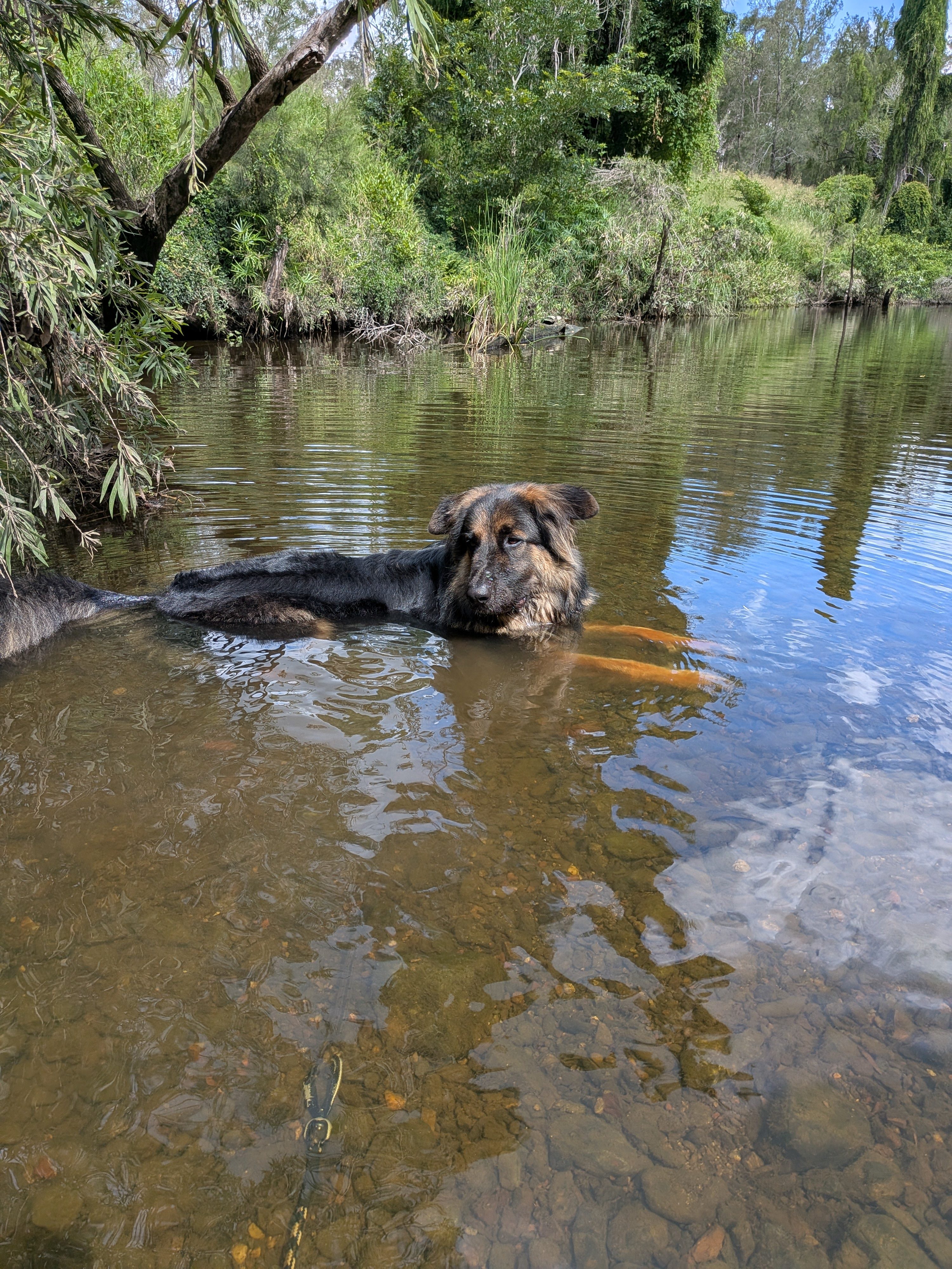 Creekside Camping and Golf