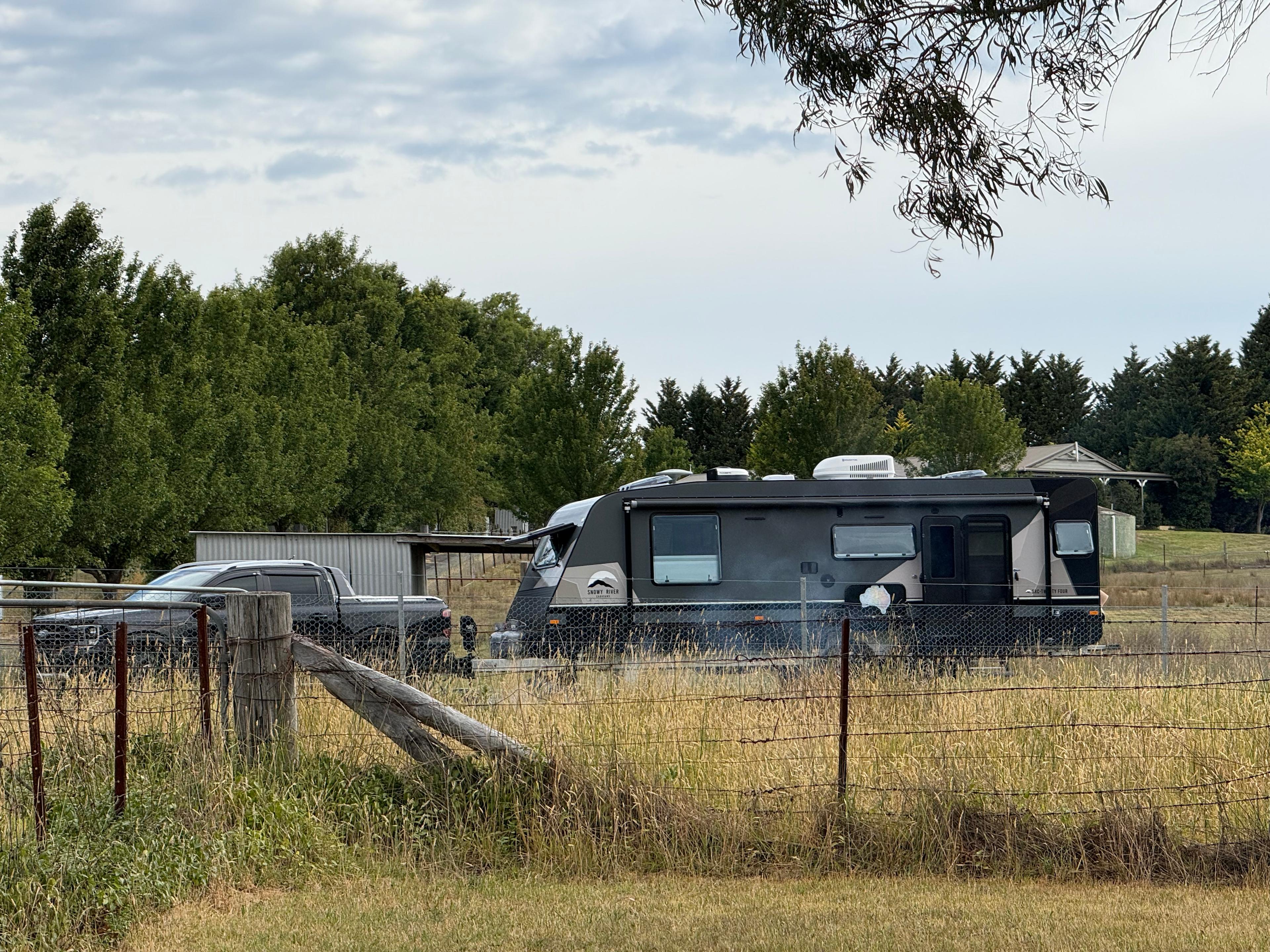 Plain paddock