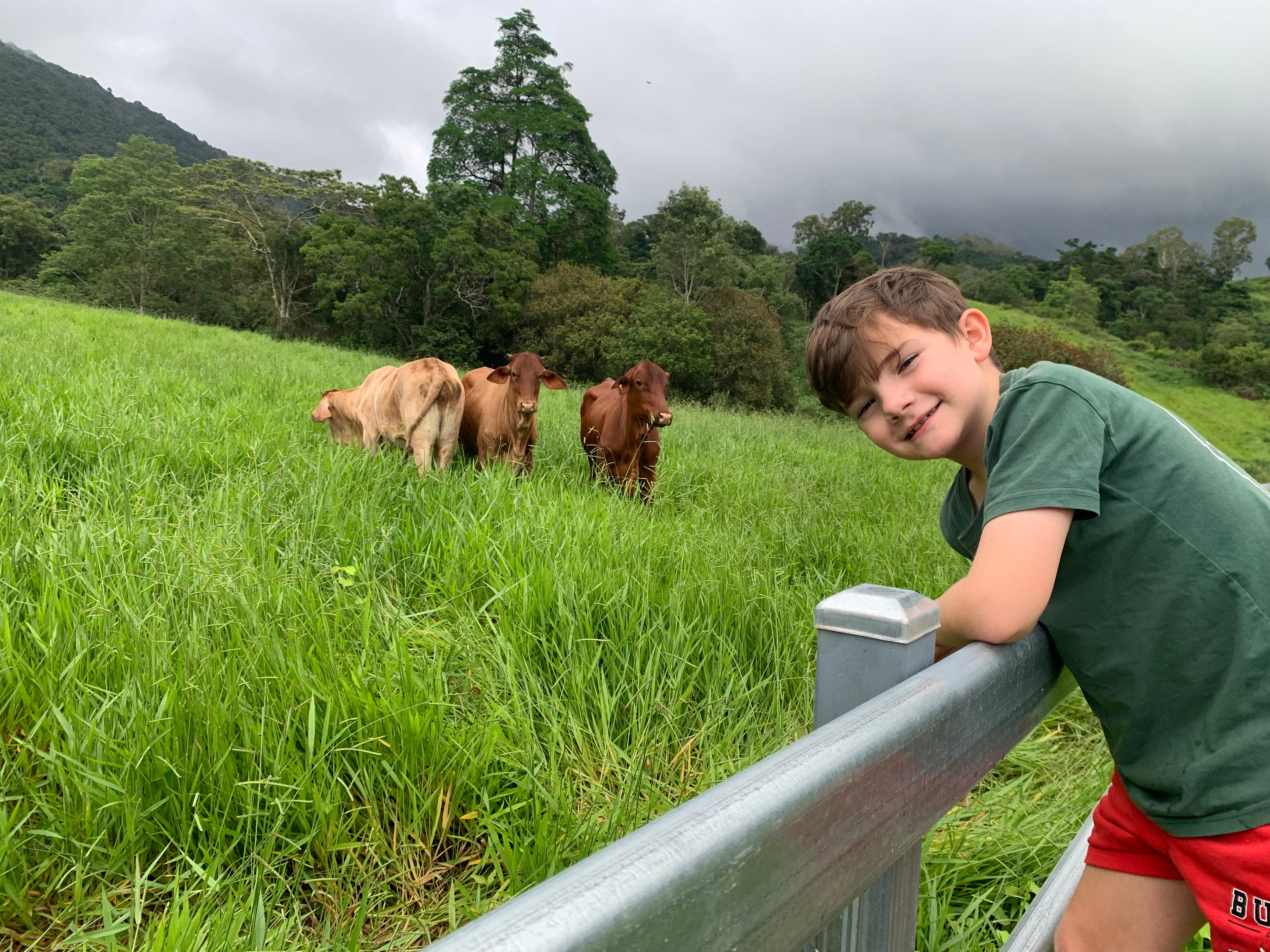 Wallaby Downs ~ Glamping Escape