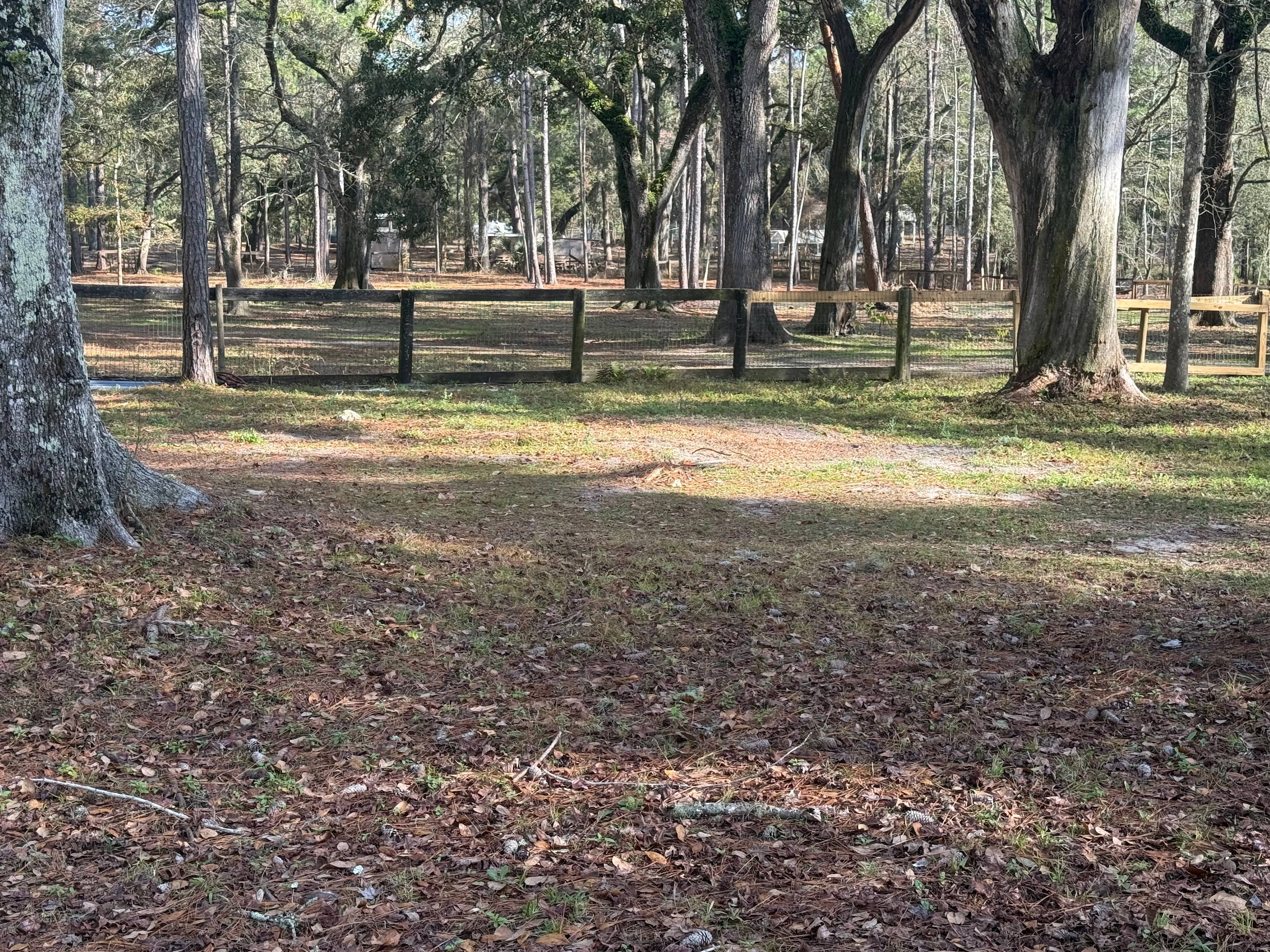 The GOAT at Sam’s in Ocala, FL