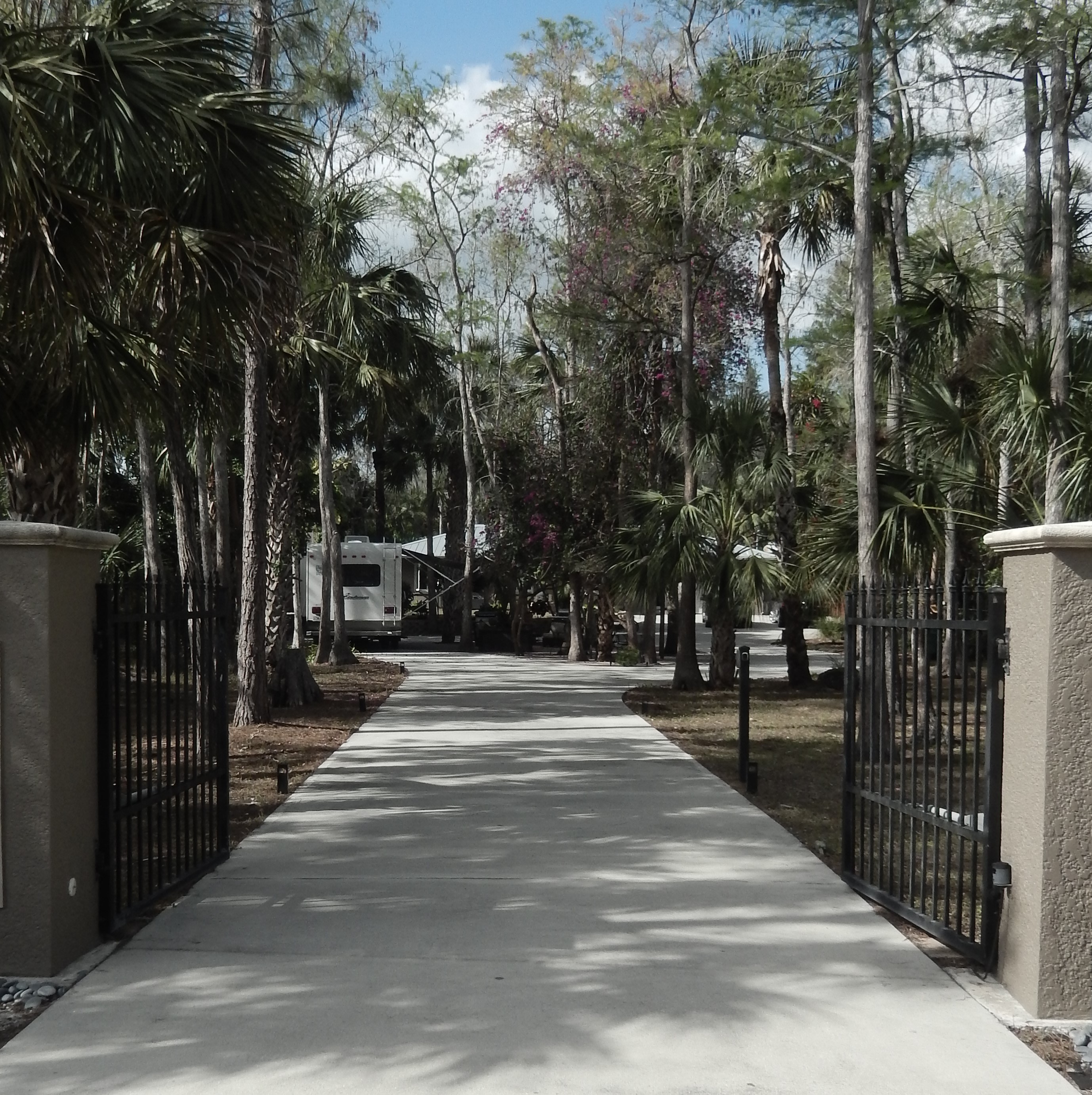 The host property is gated and fenced. The "pull-through"  site will accommodate most smaller RV's. Large RV's may require a simple straight back out.