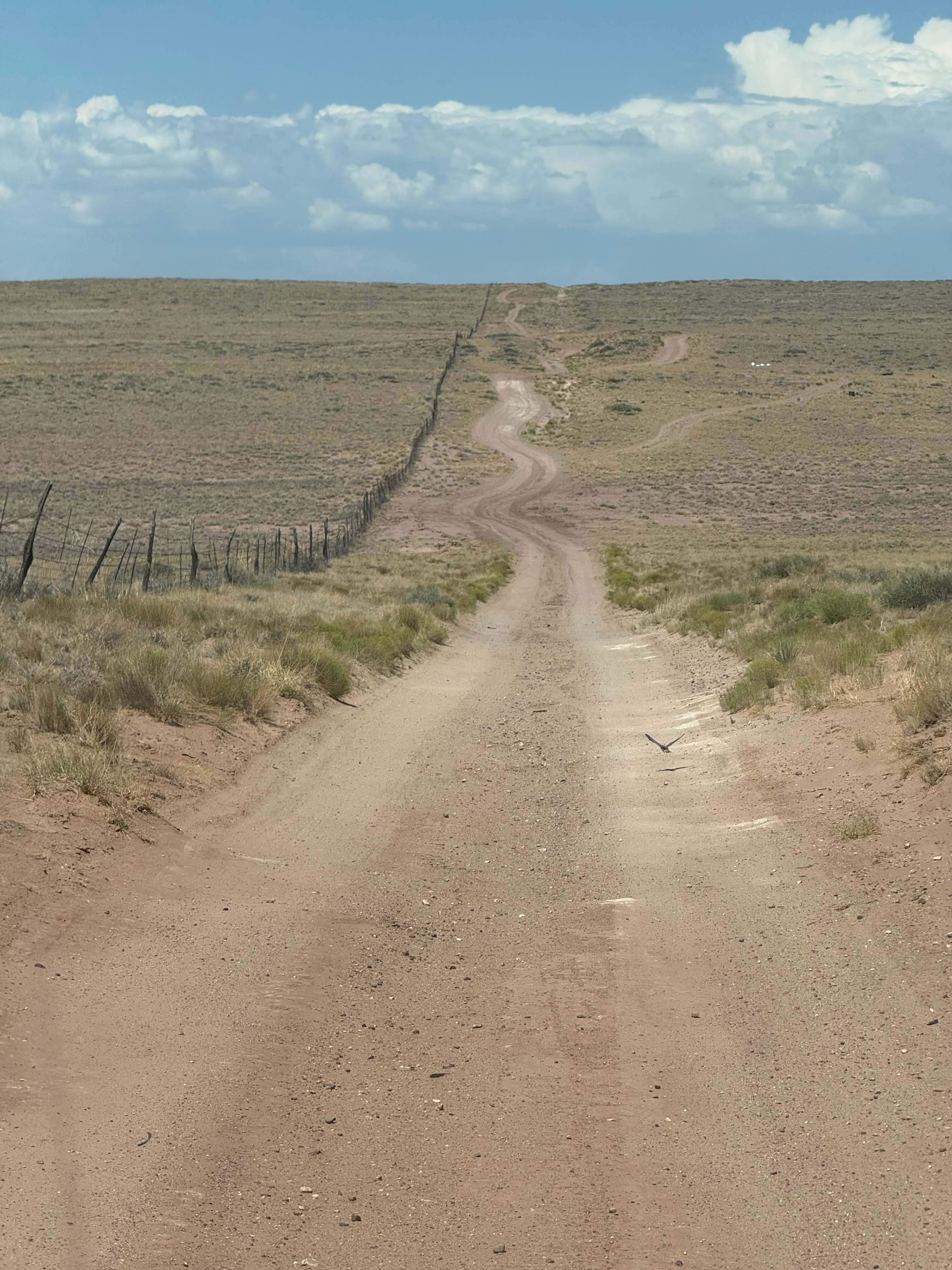 2.5 mile dirt road to access the property.