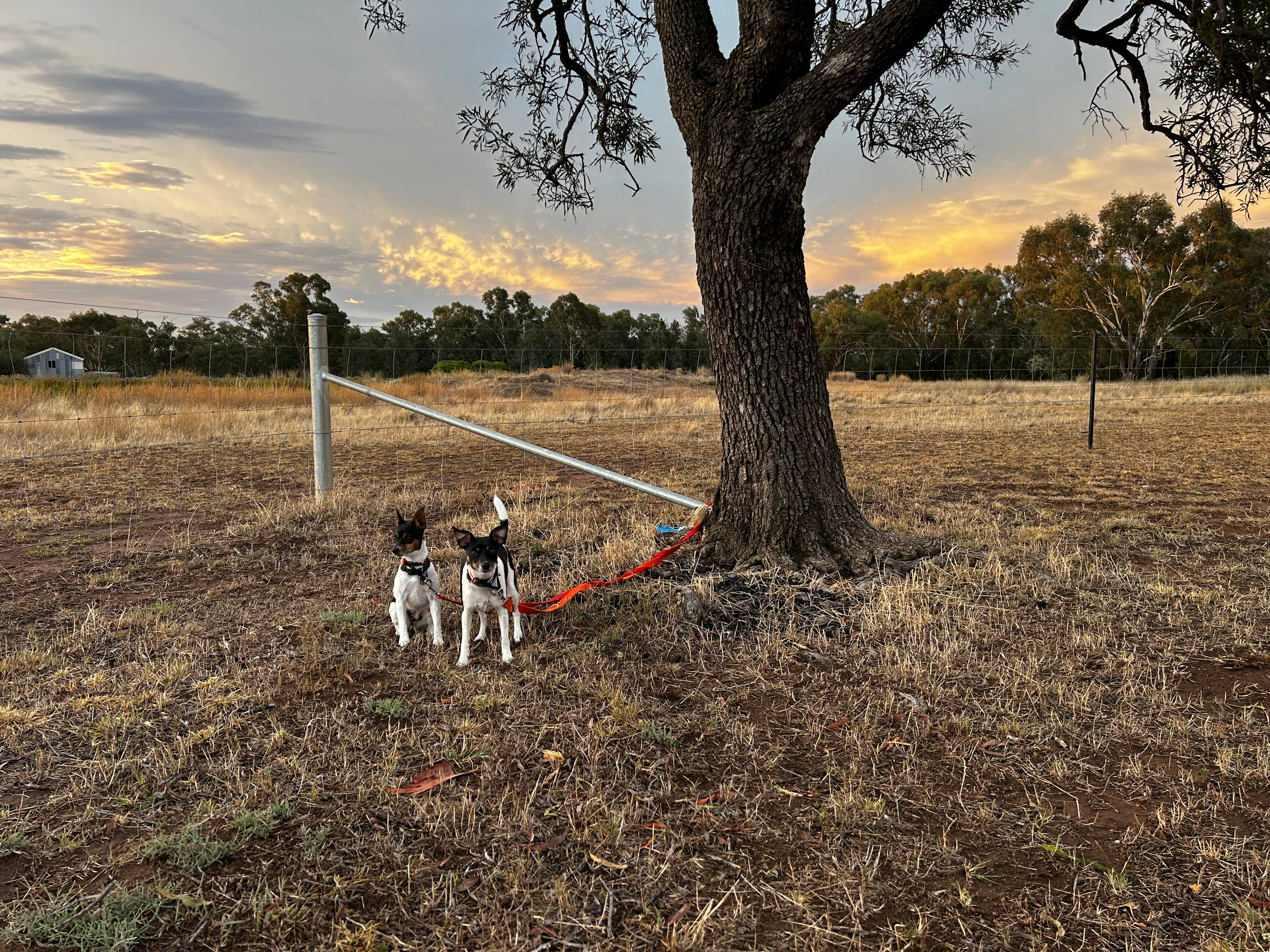 YARRALLA on the Marthaguy