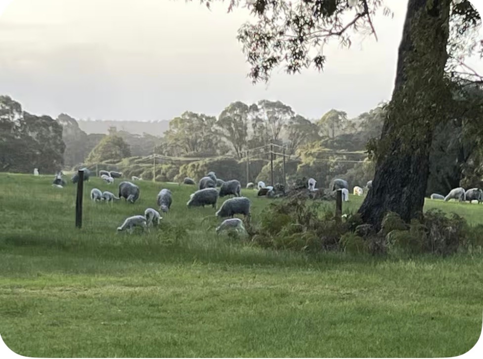 Rosabrook scenic farmland