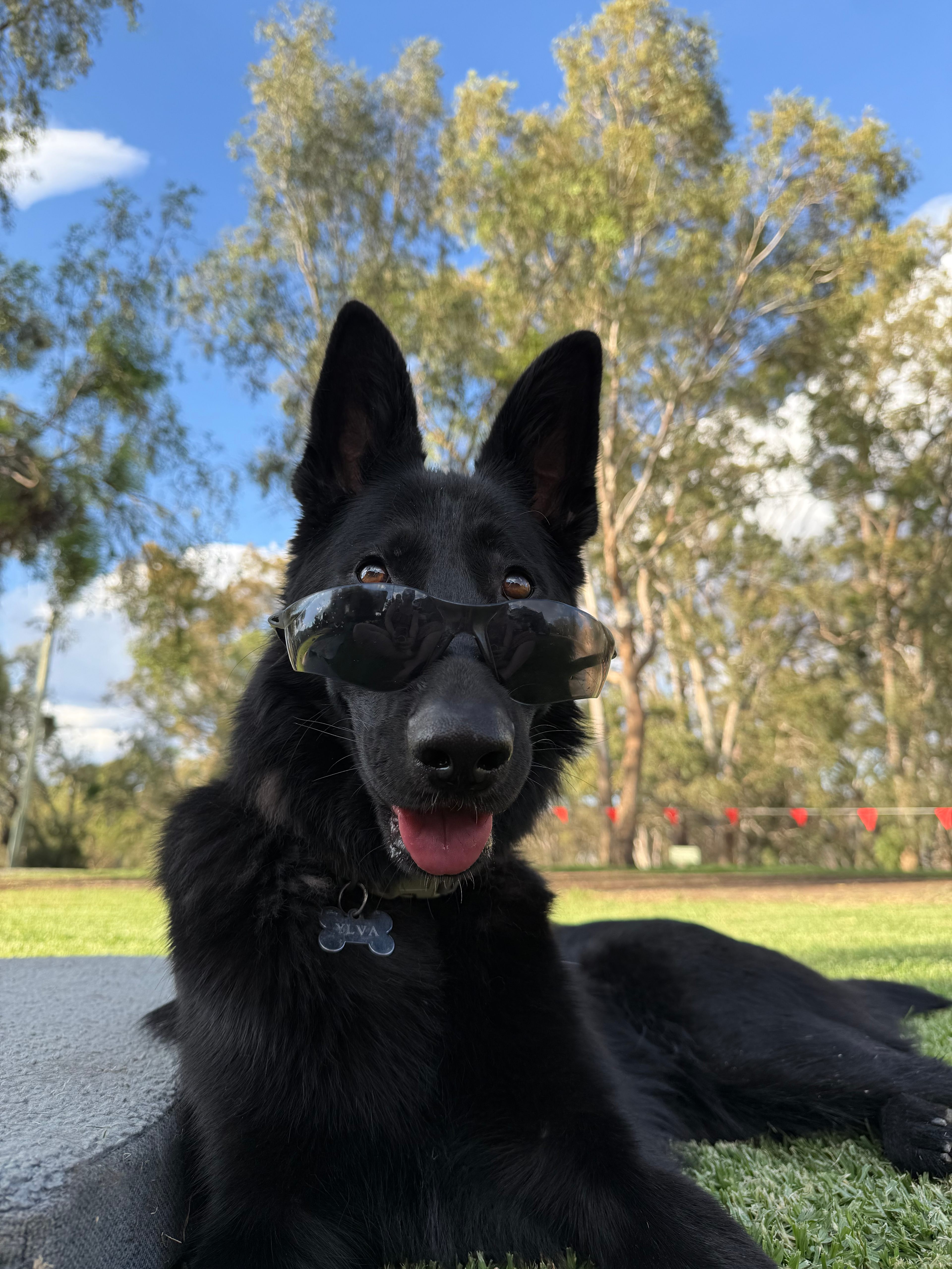 Wanganella Camp Park