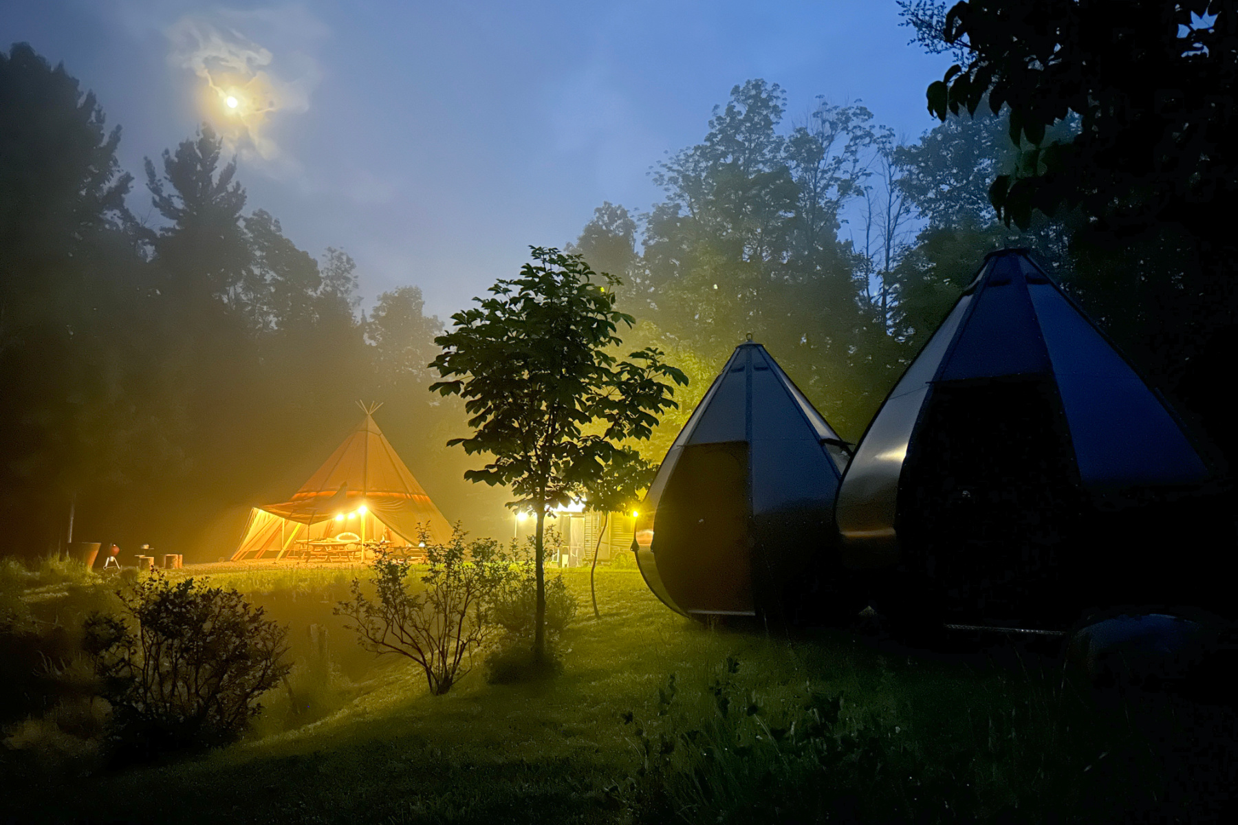 Air Drops hanging forest shelters