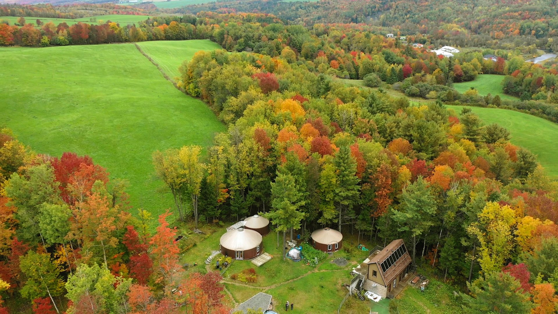 Air Drops hanging forest shelters