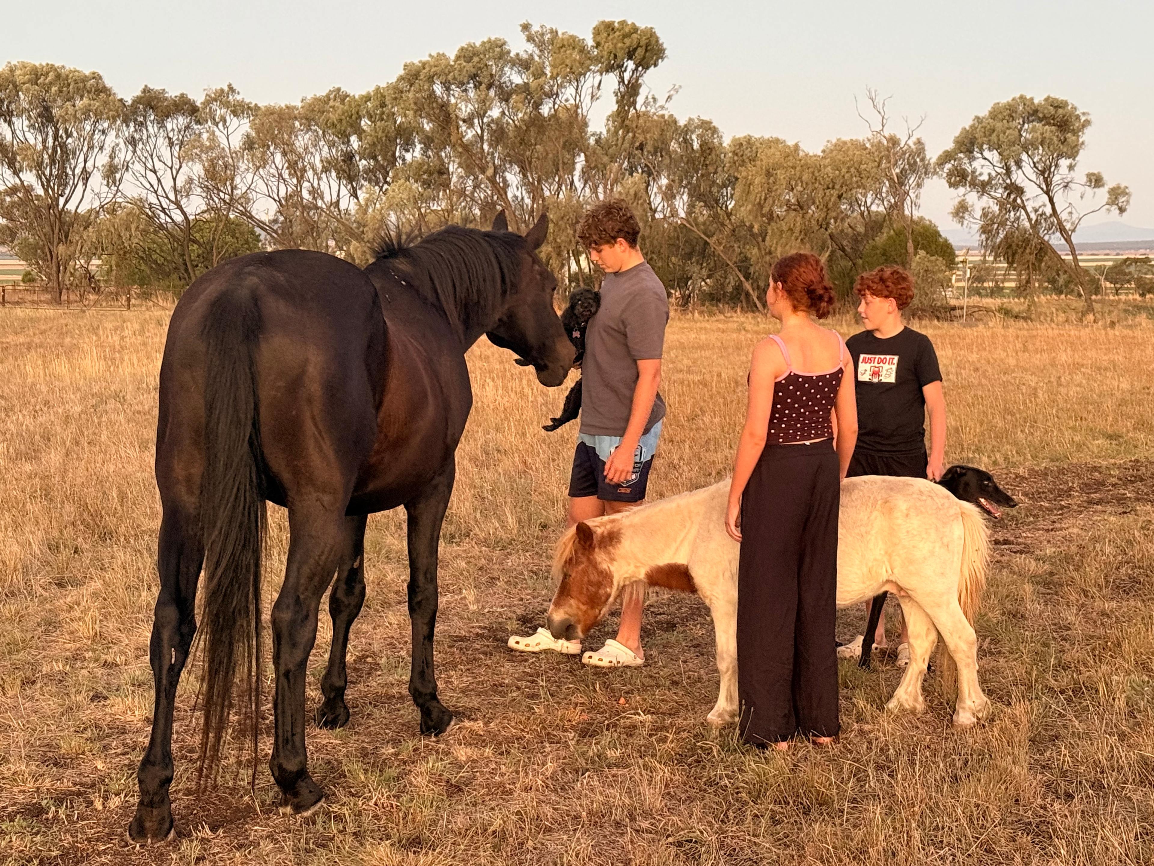 Night Sky & Tranquil Soul Studio