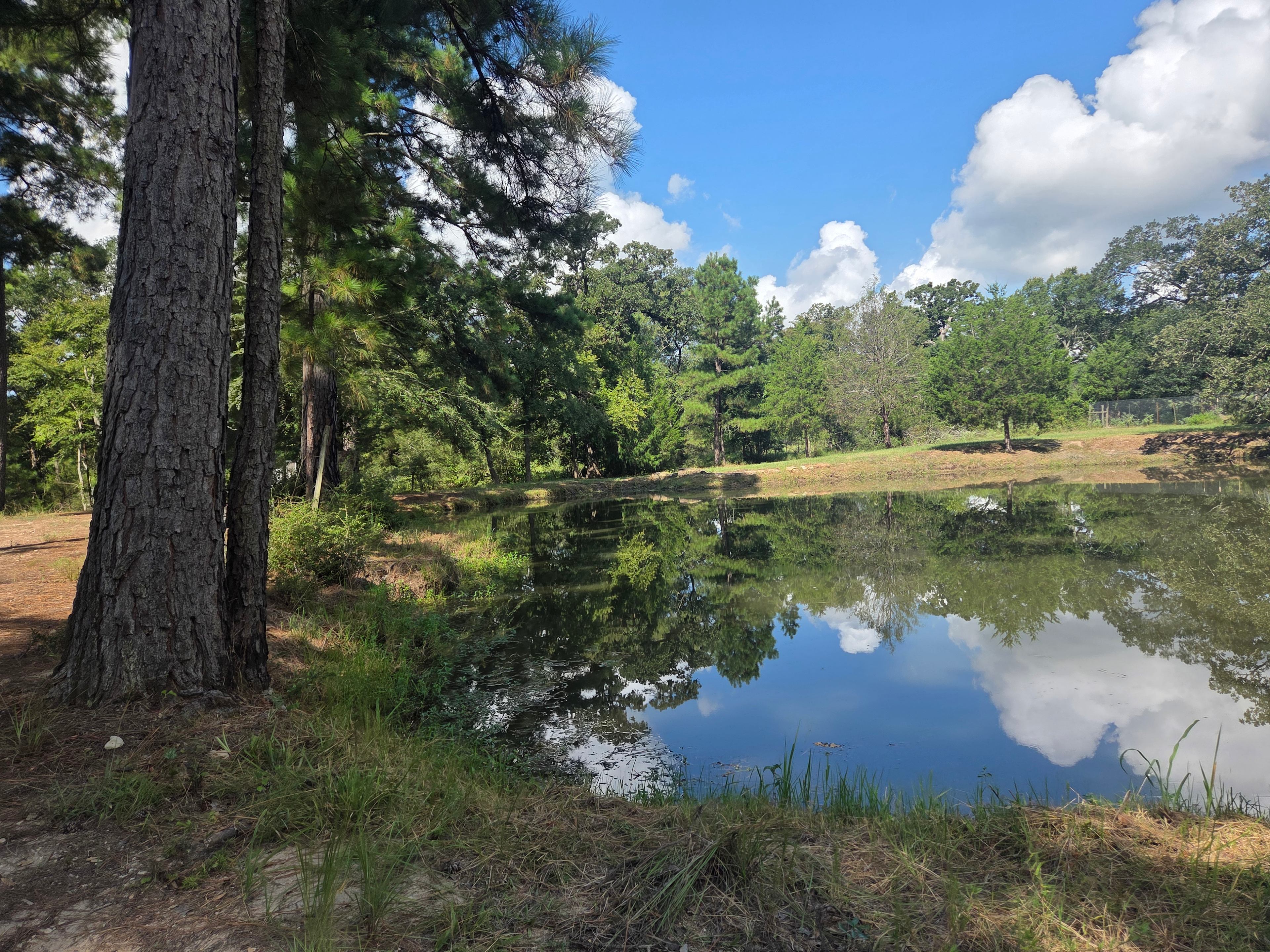 Earthly Primitive Camping