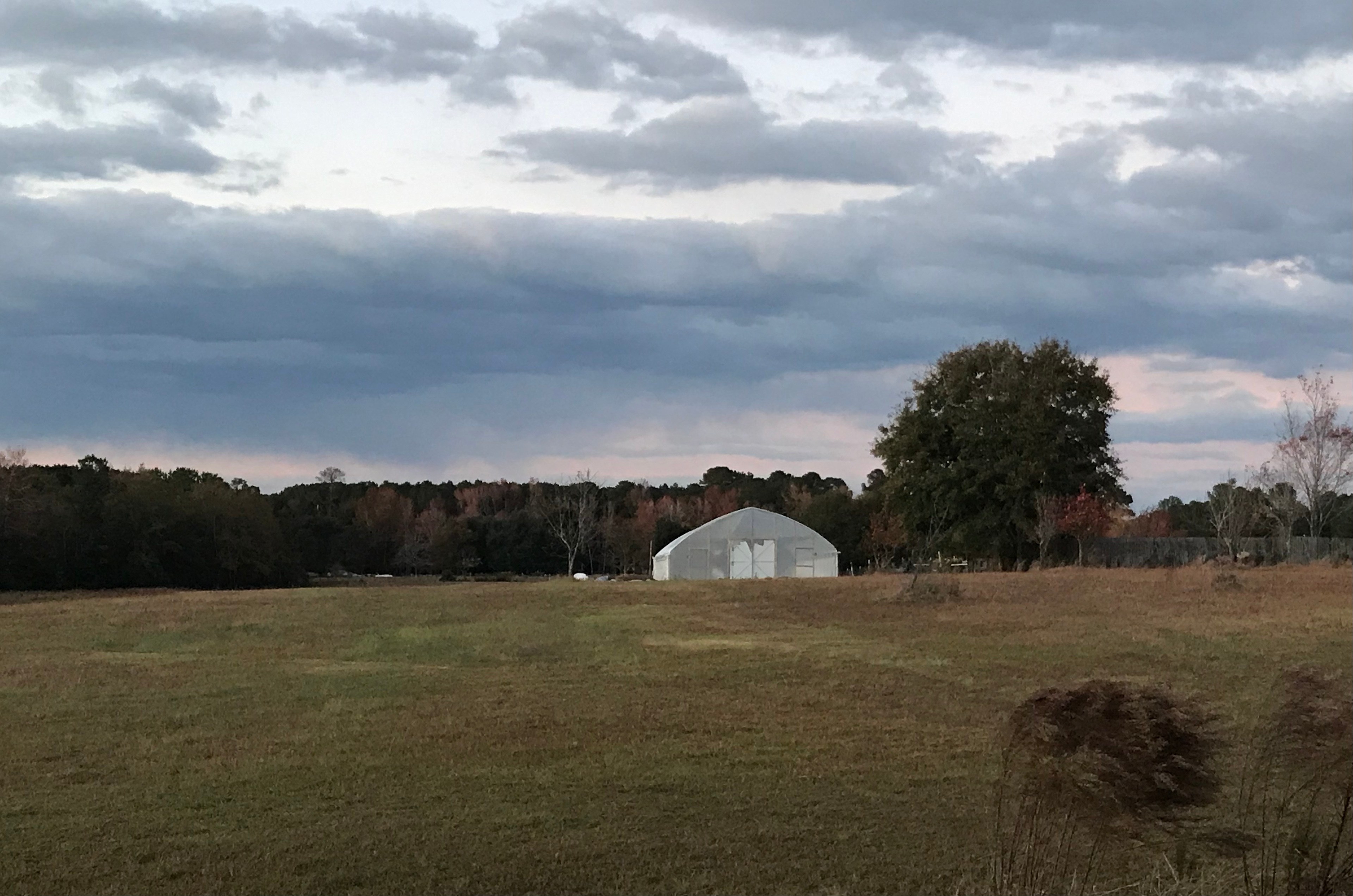 Brown Shuga and Spice Acres