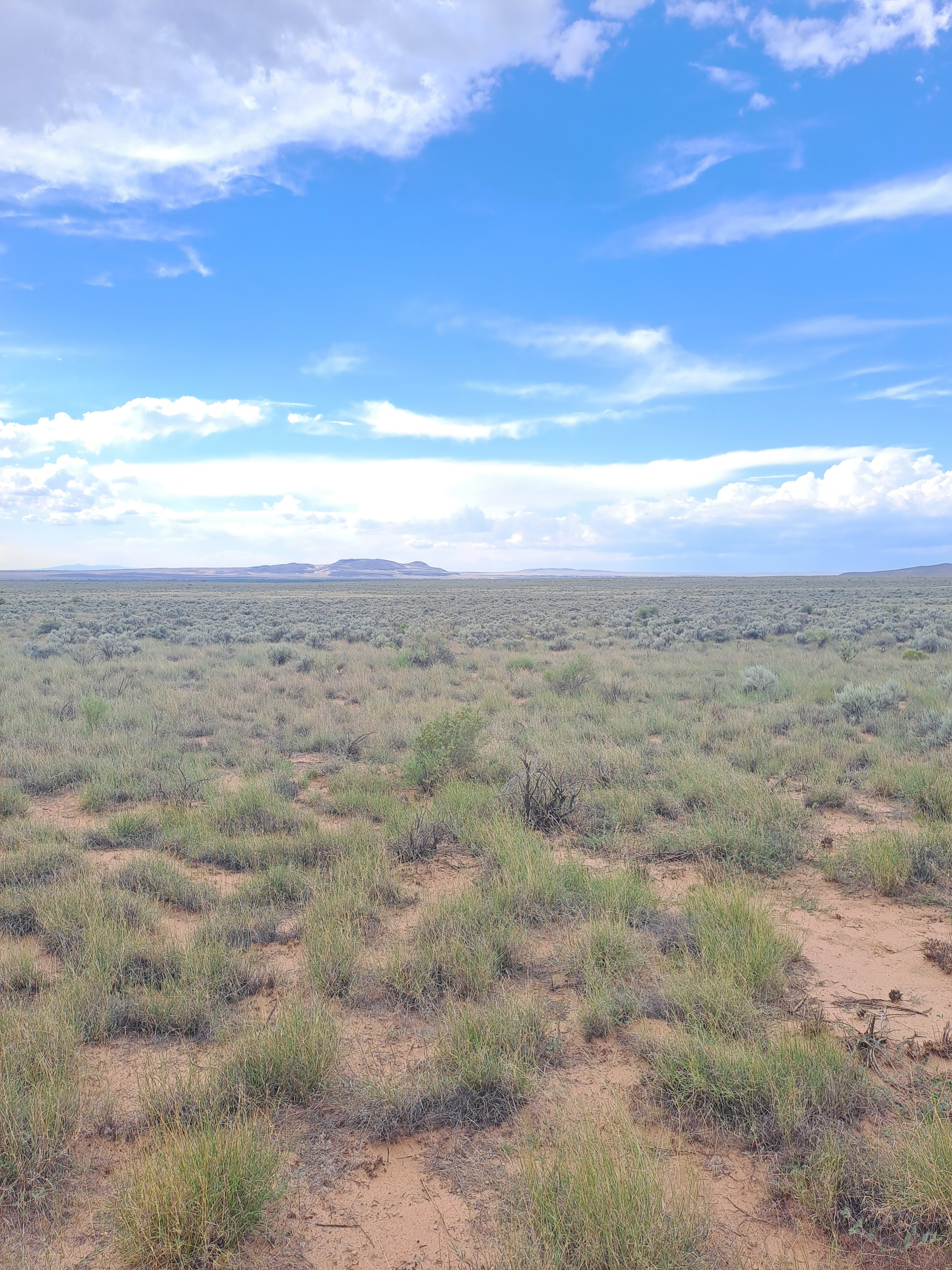 Virgin Camp Land in Valencia County