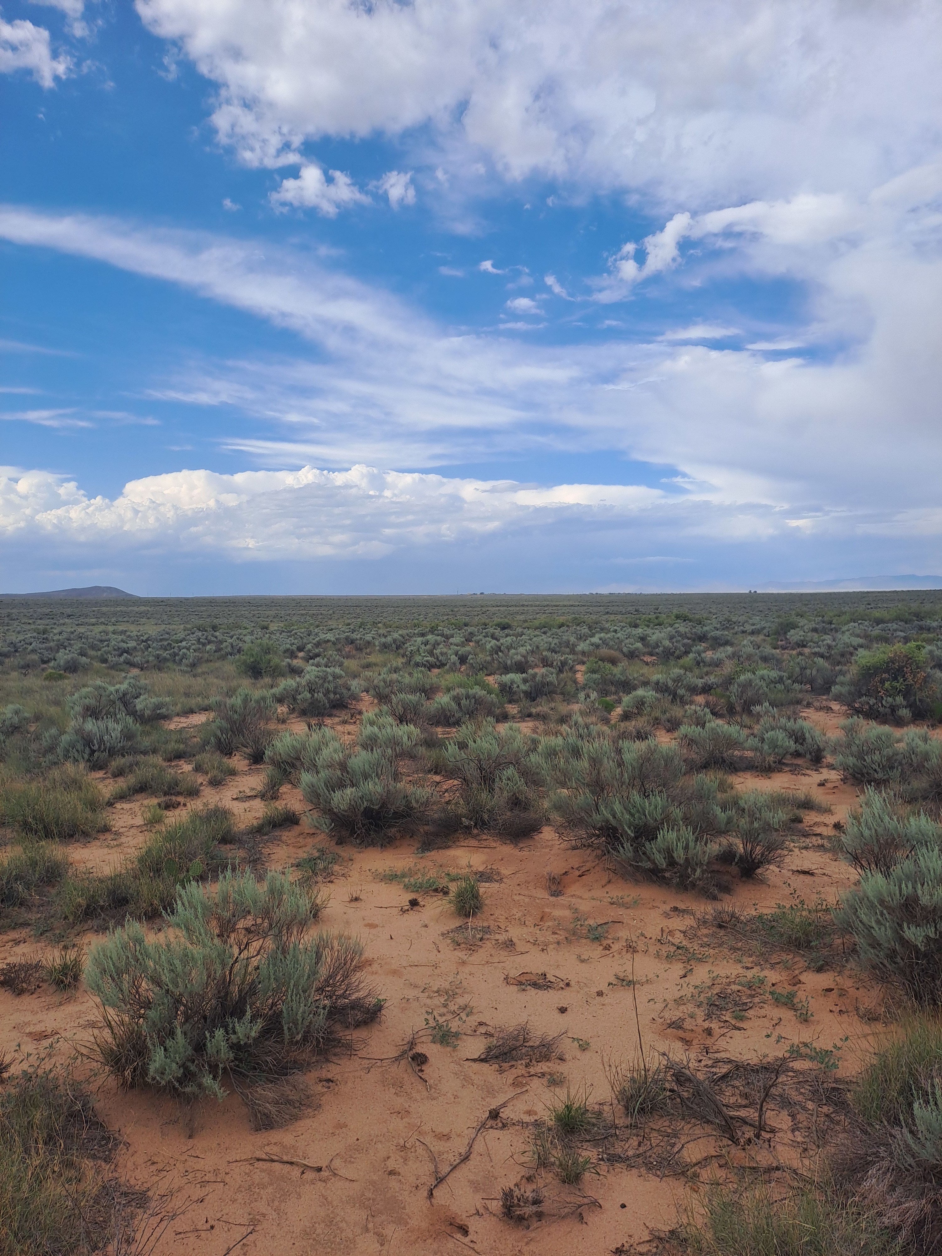 Virgin Camp Land in Valencia County