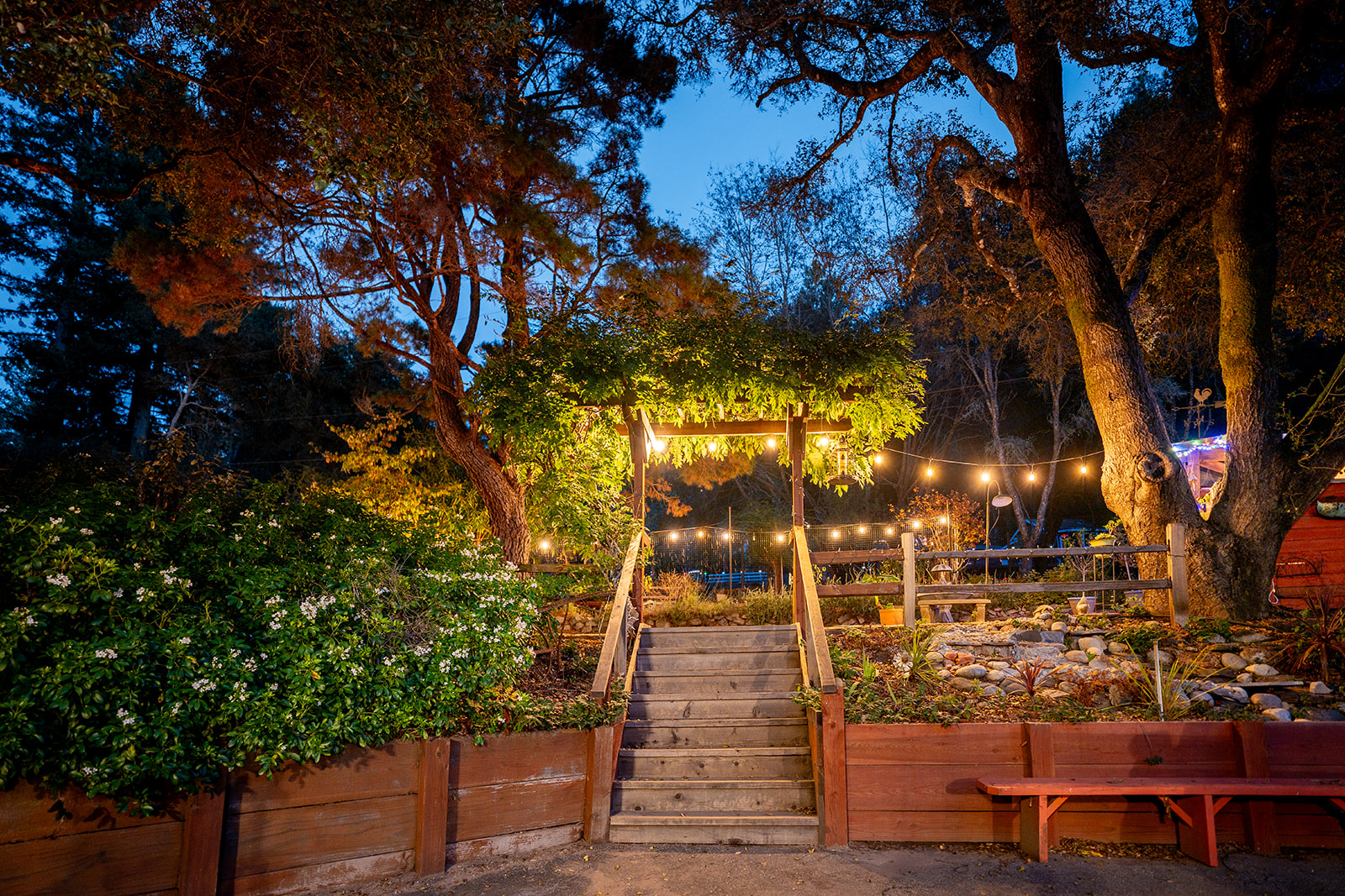 The Campground At Chez Serendip