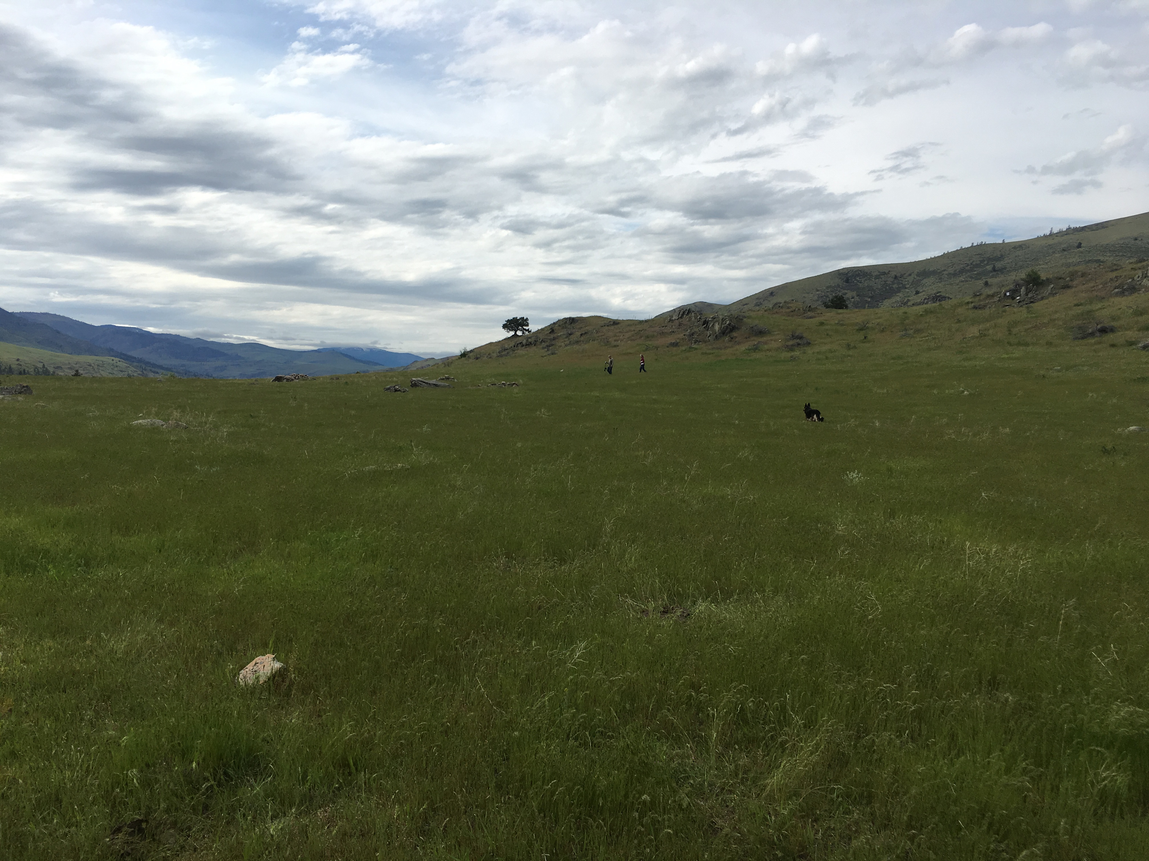 Watchdog Winery Highland Camp