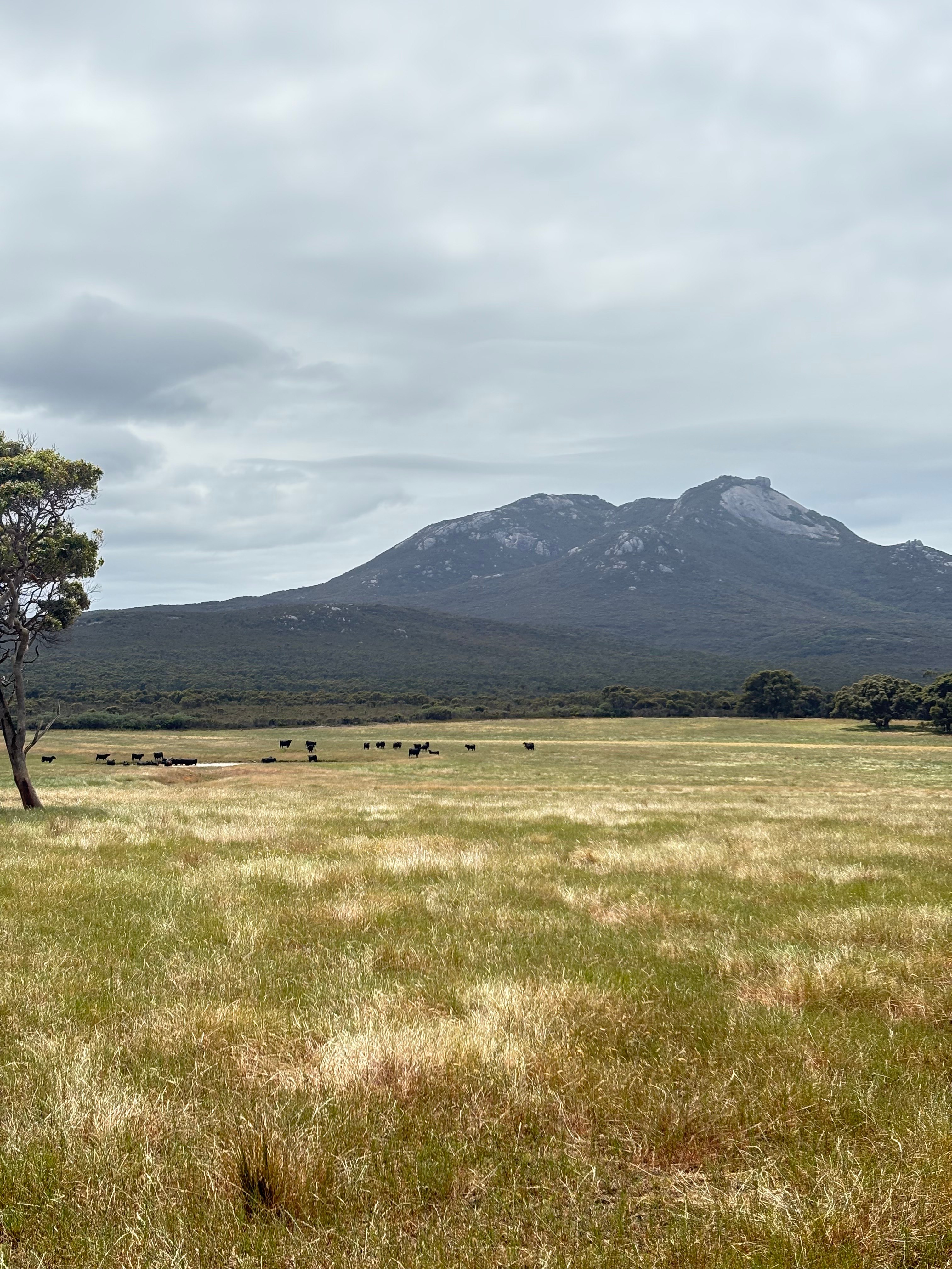 Little Burra Retreat