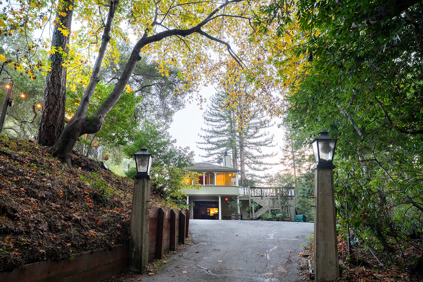 The Campground At Chez Serendip