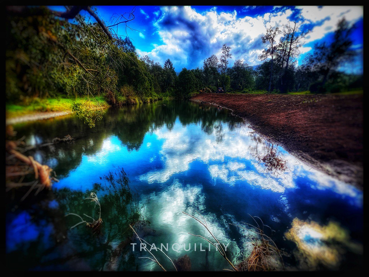 Mt Lion Farm Secluded Creek Camping