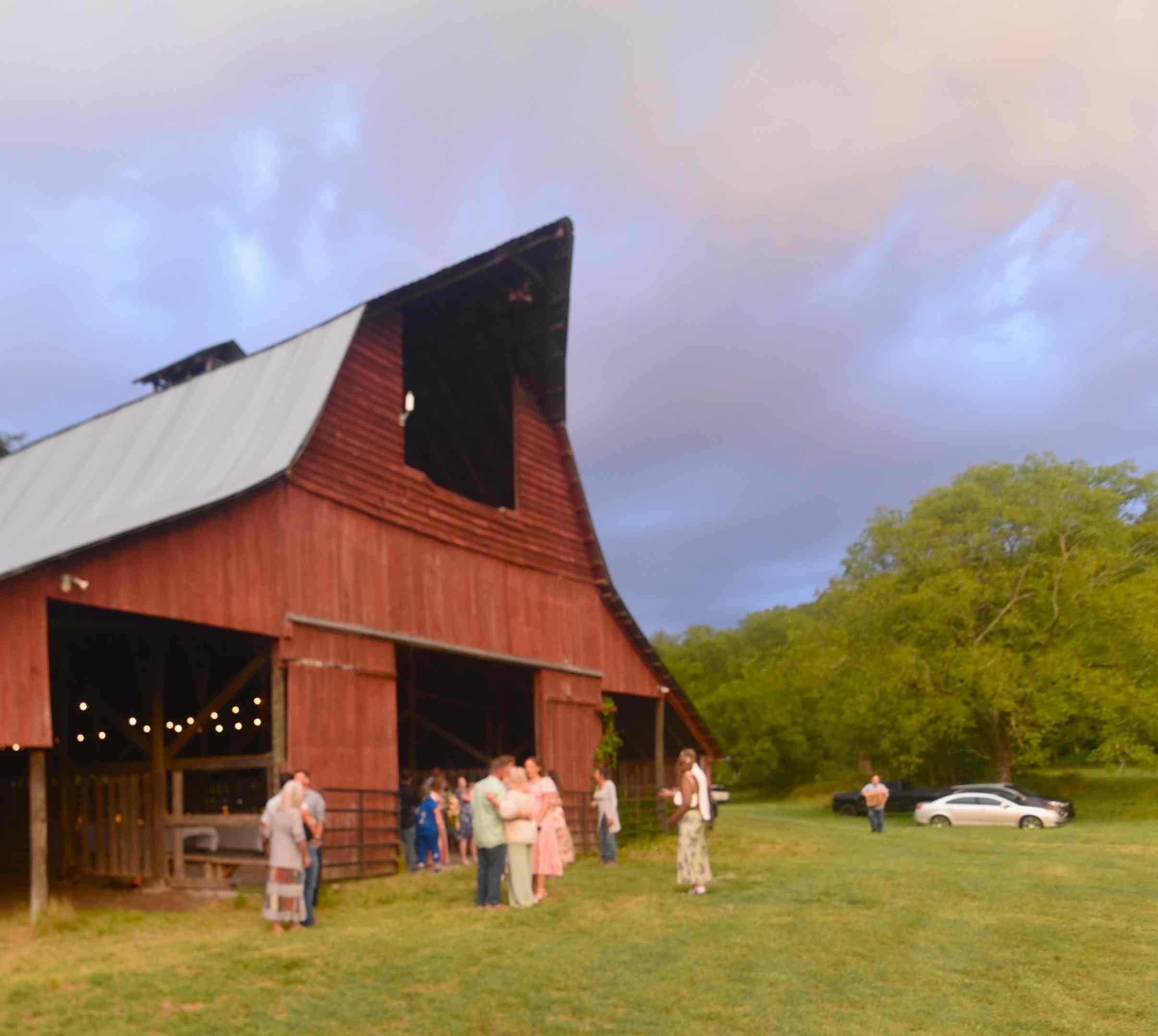 Sounds Of the Meadow