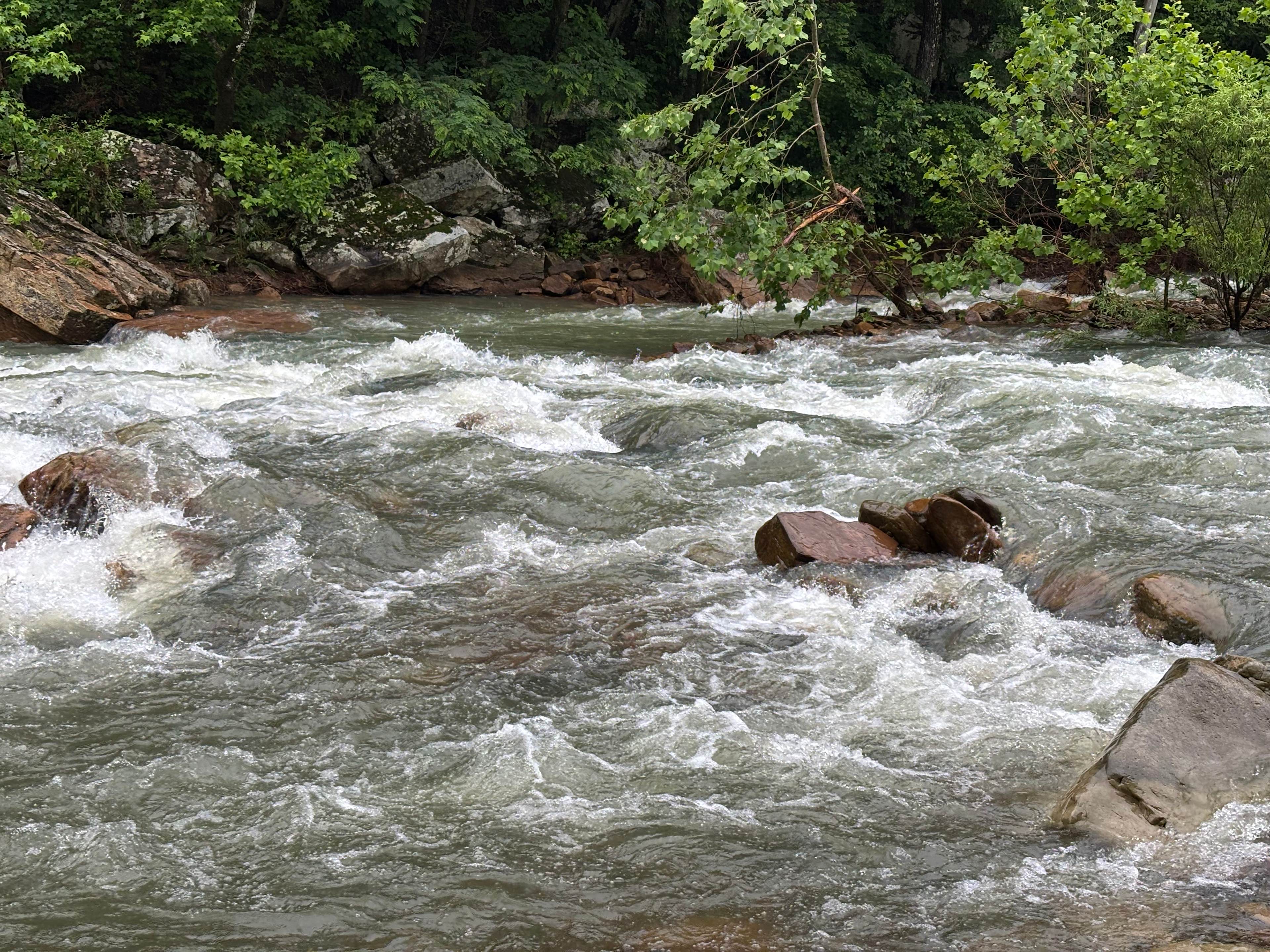Sounds Of The Meadow