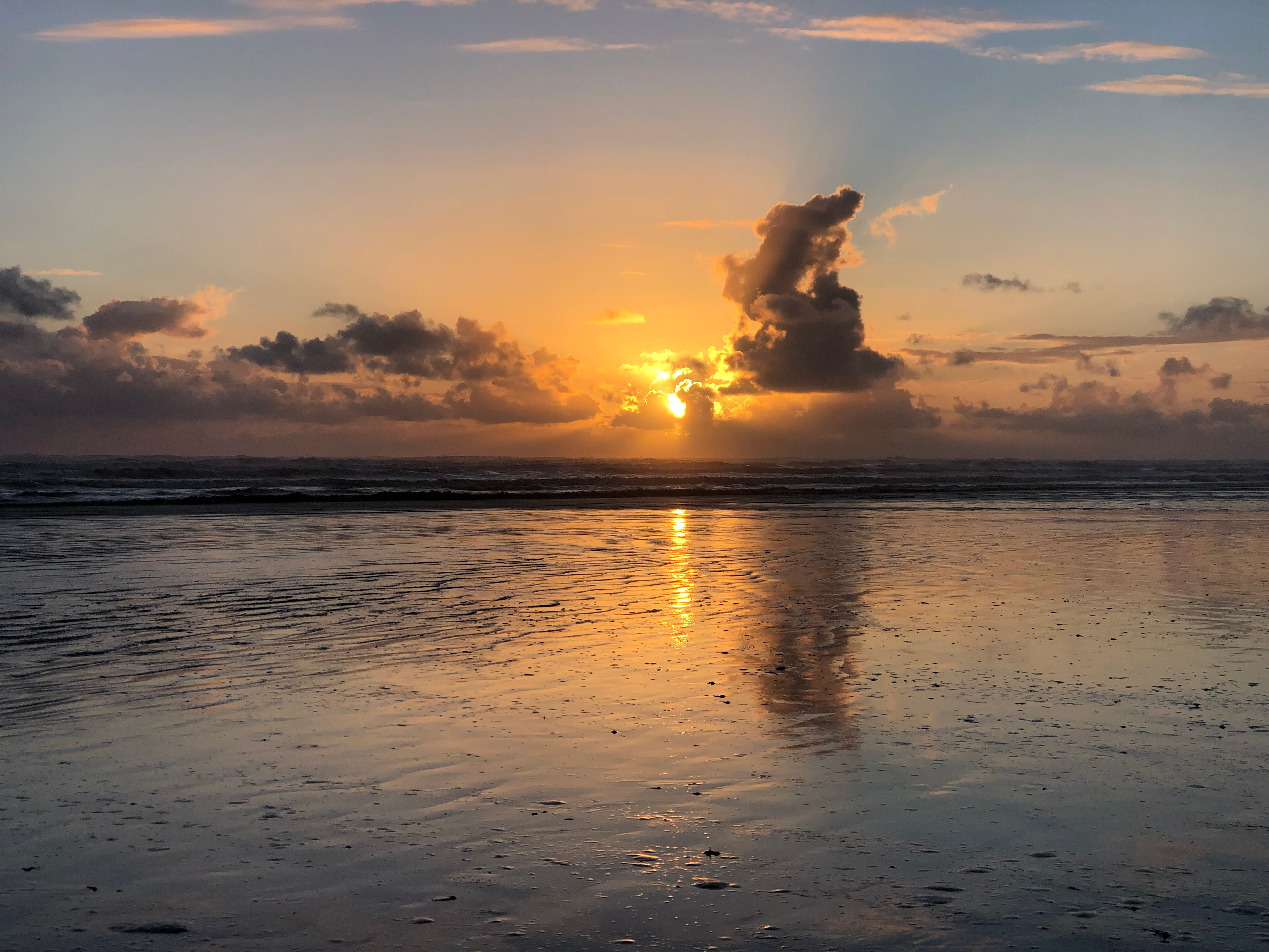 Pacific Beach Paradise