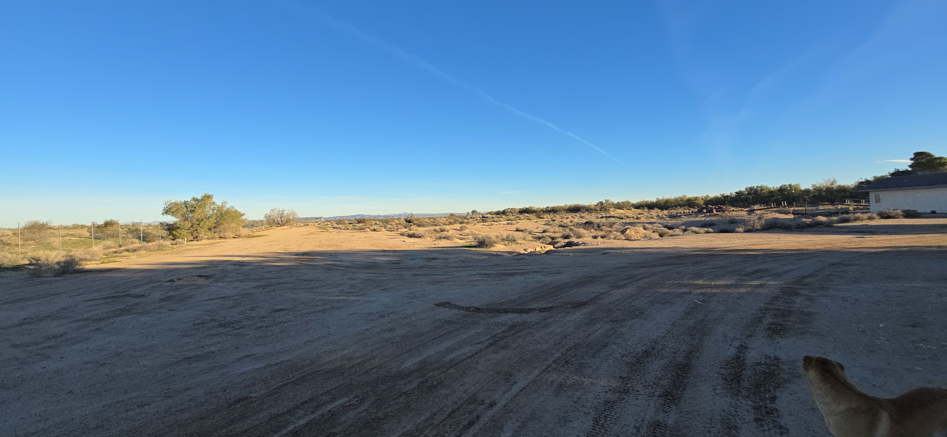 Starlight Desert Camping