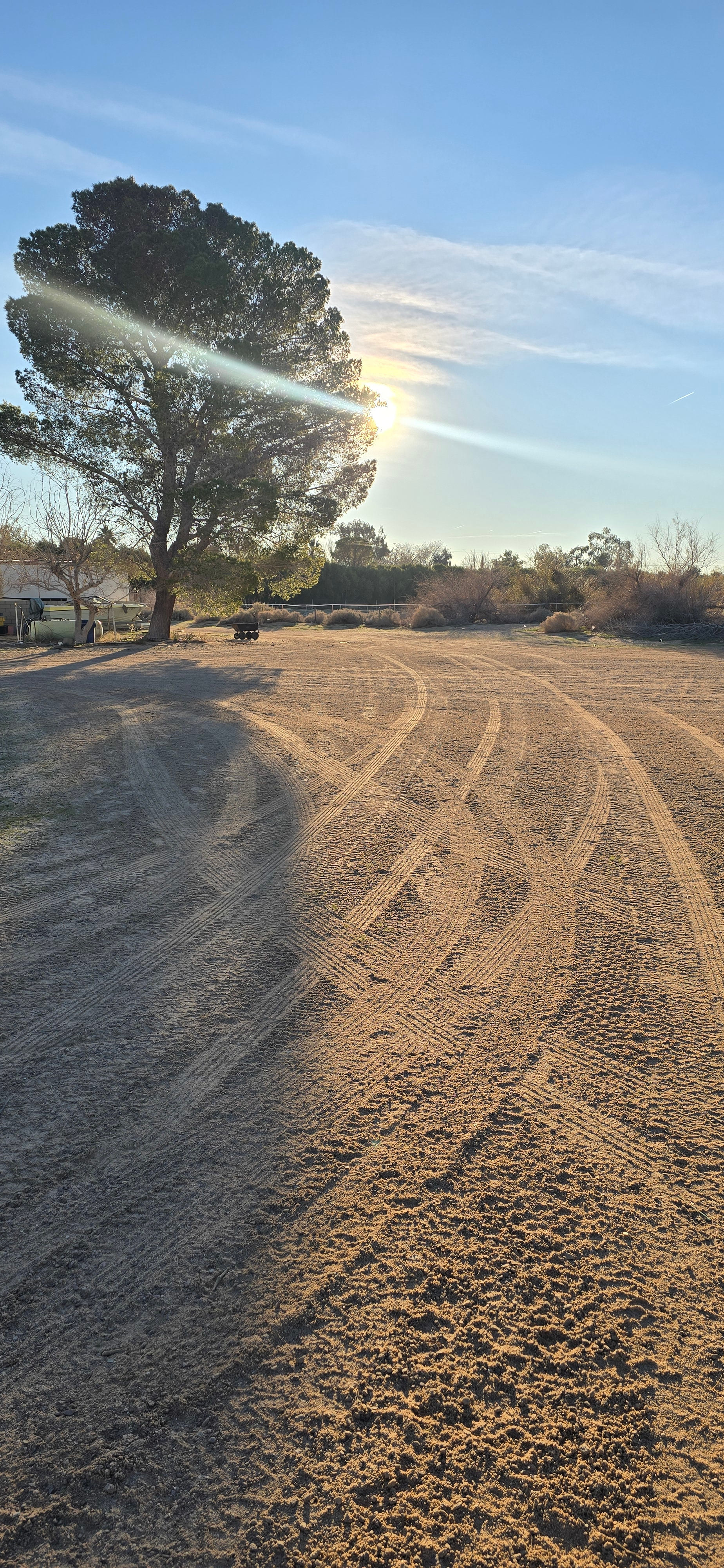 Starlight Desert Camping