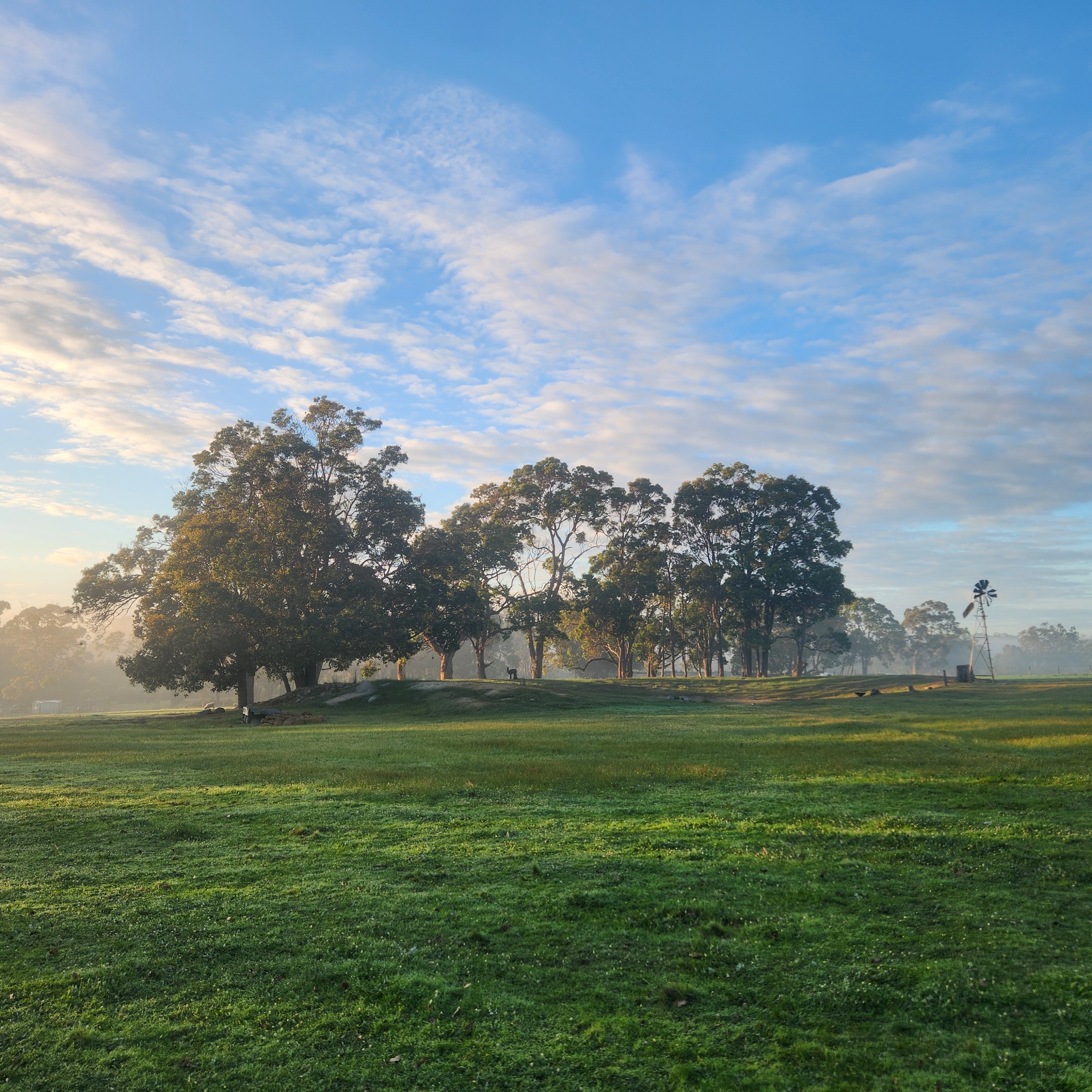 Ridgeview Orchard