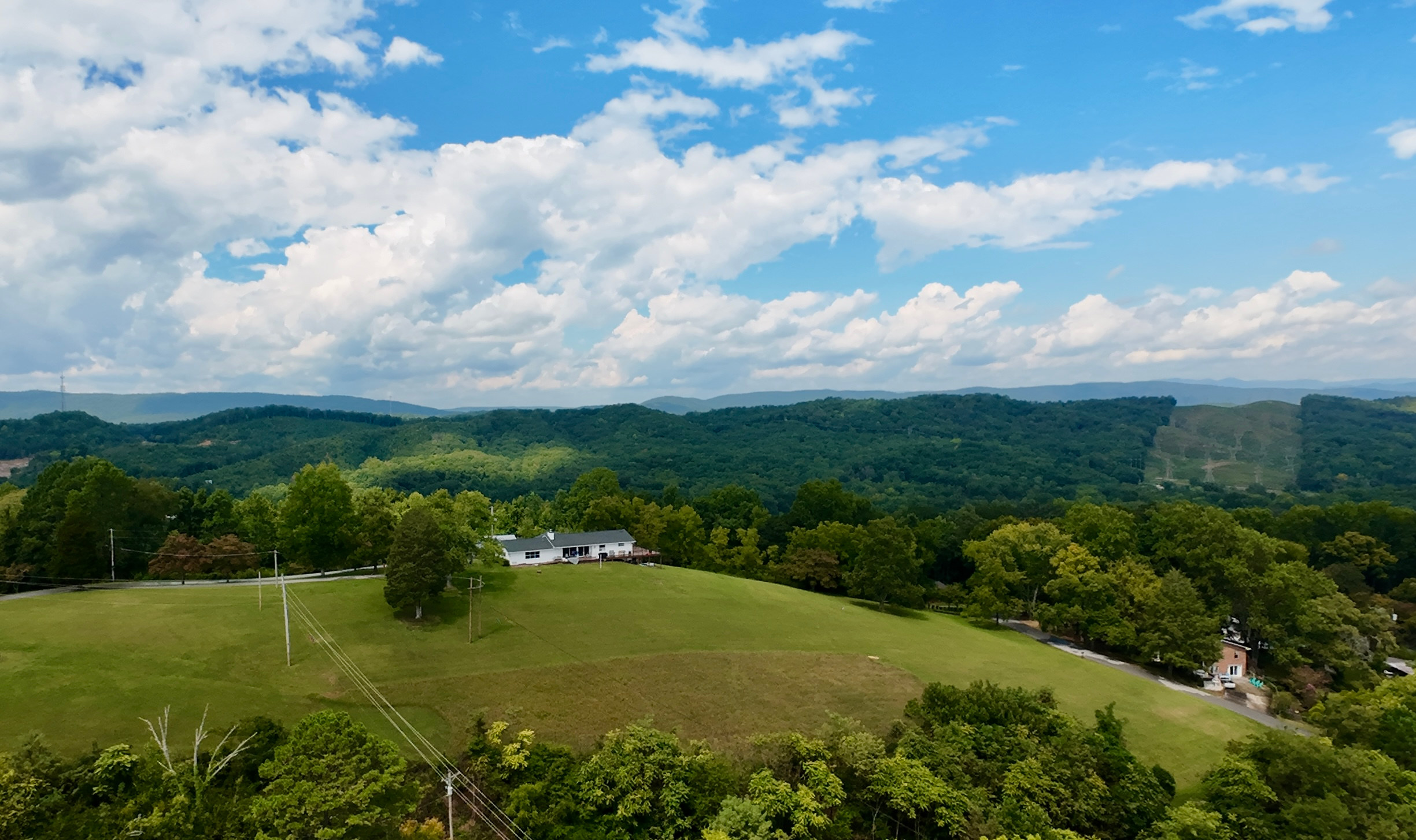 Where It All Grows Down