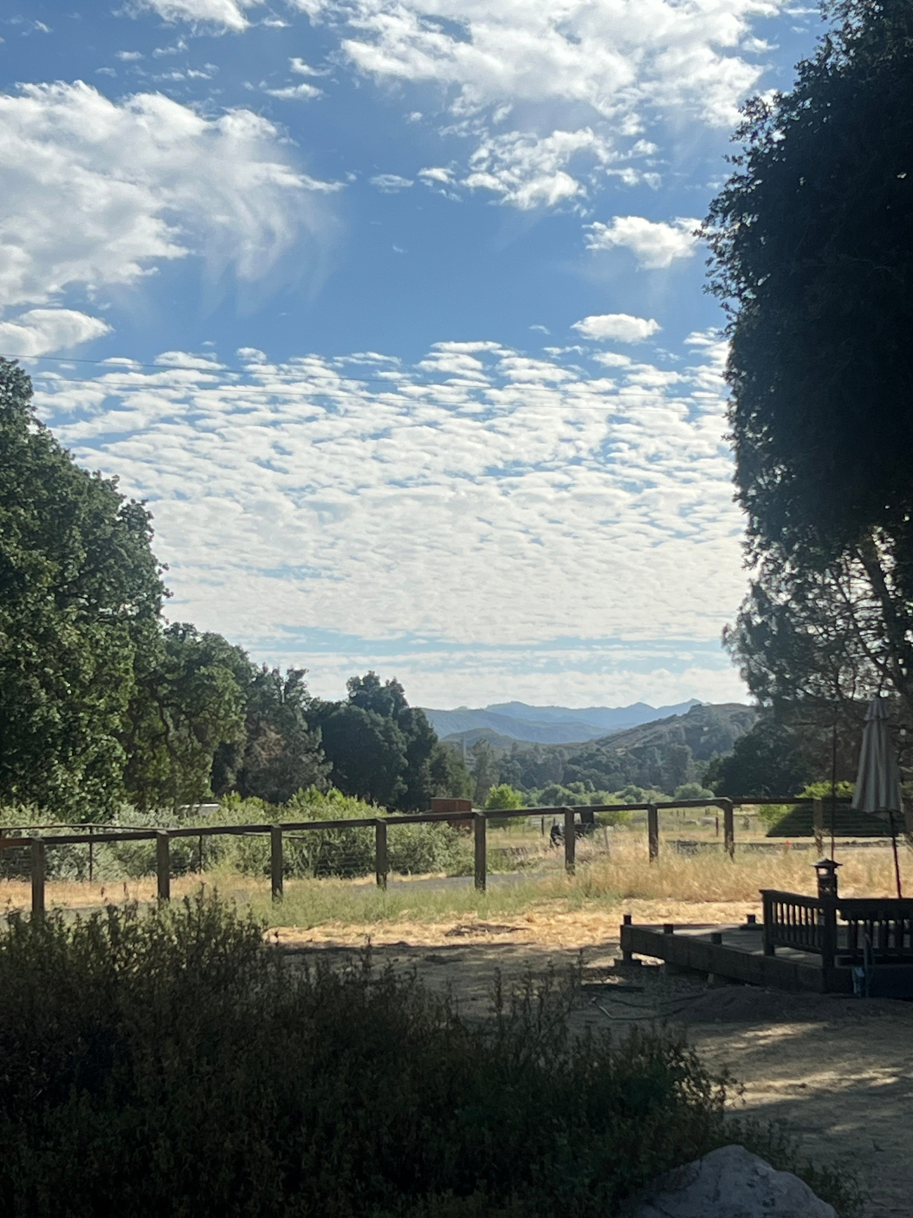 Dust Cloud Ranch – Sycamore Grove