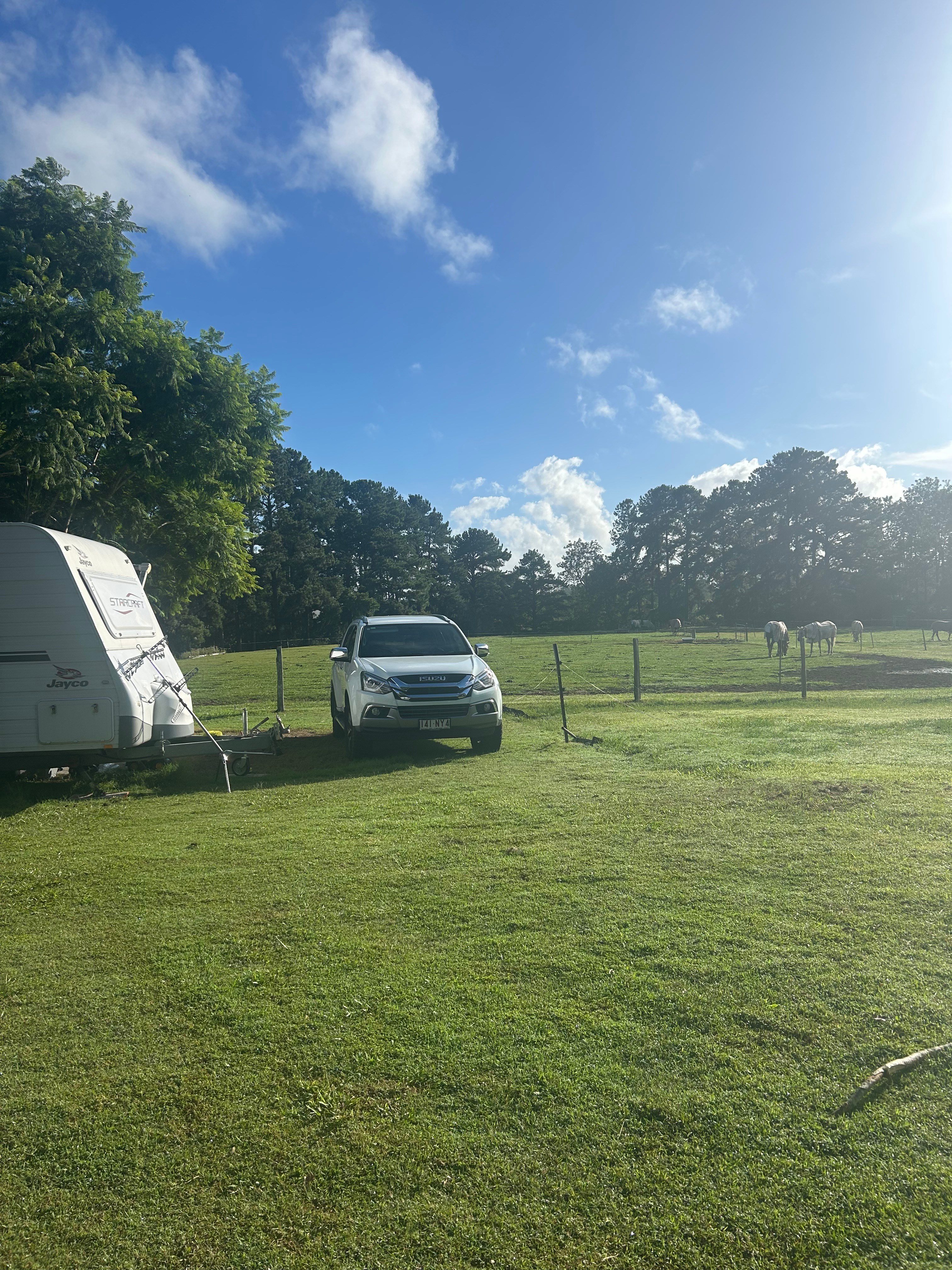 Palmwoods Horse / Farm Camping