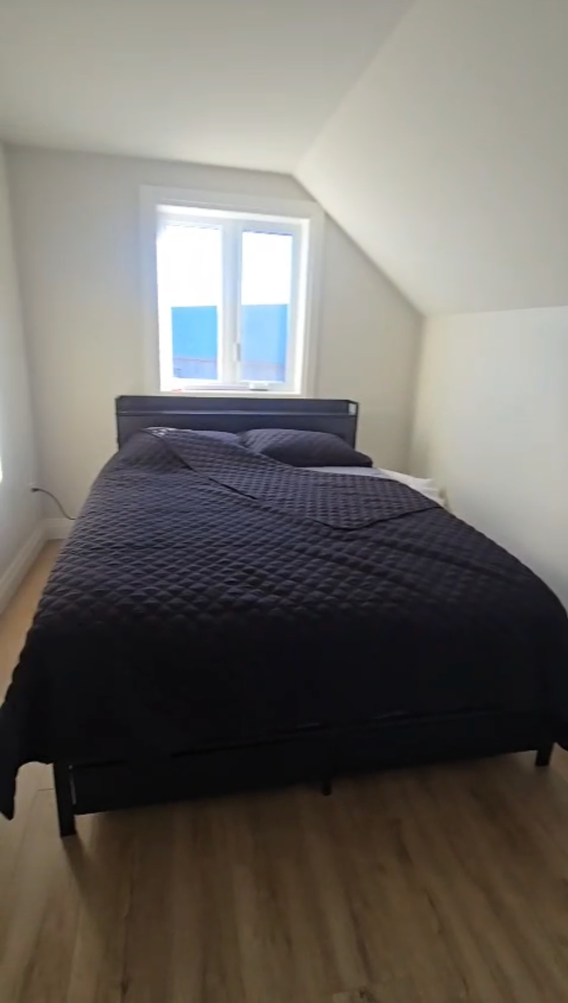 Ben Howe Carriage Driving