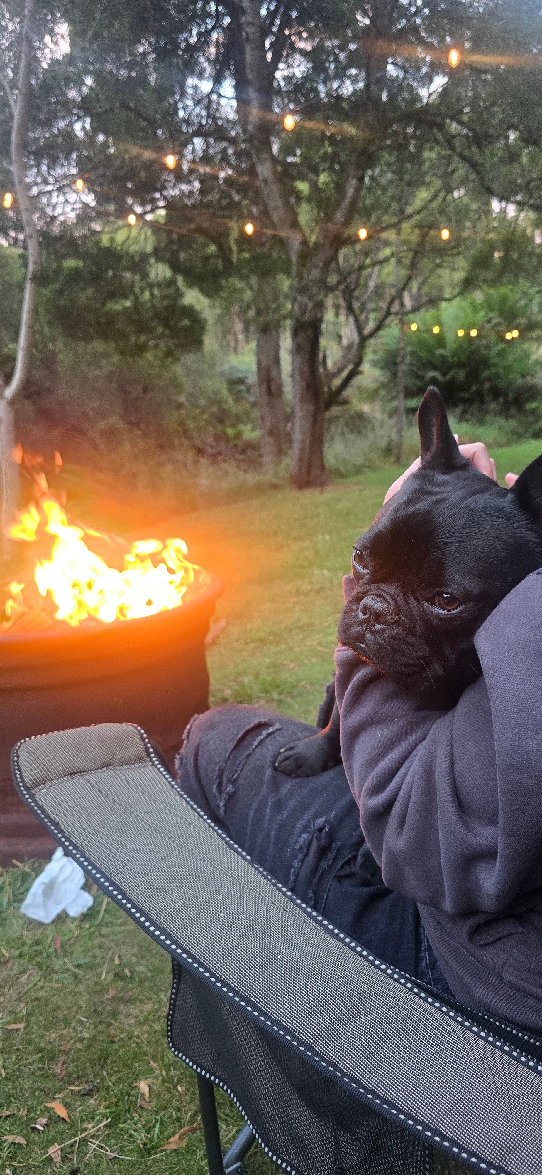 🐞🌿 Ladybug Camping 🌿🐞
