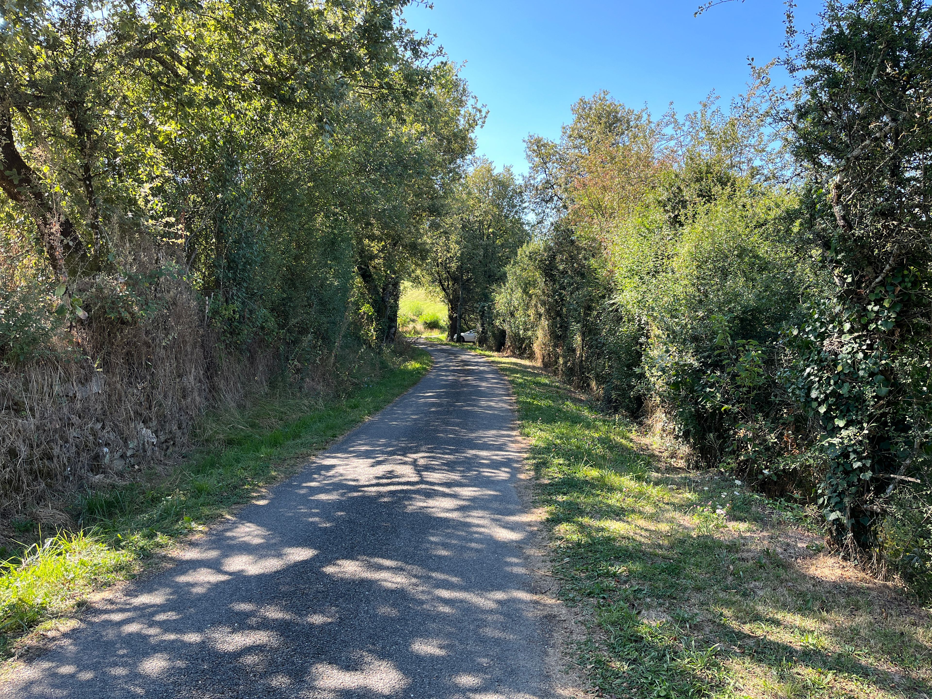 the walk to the camping station
