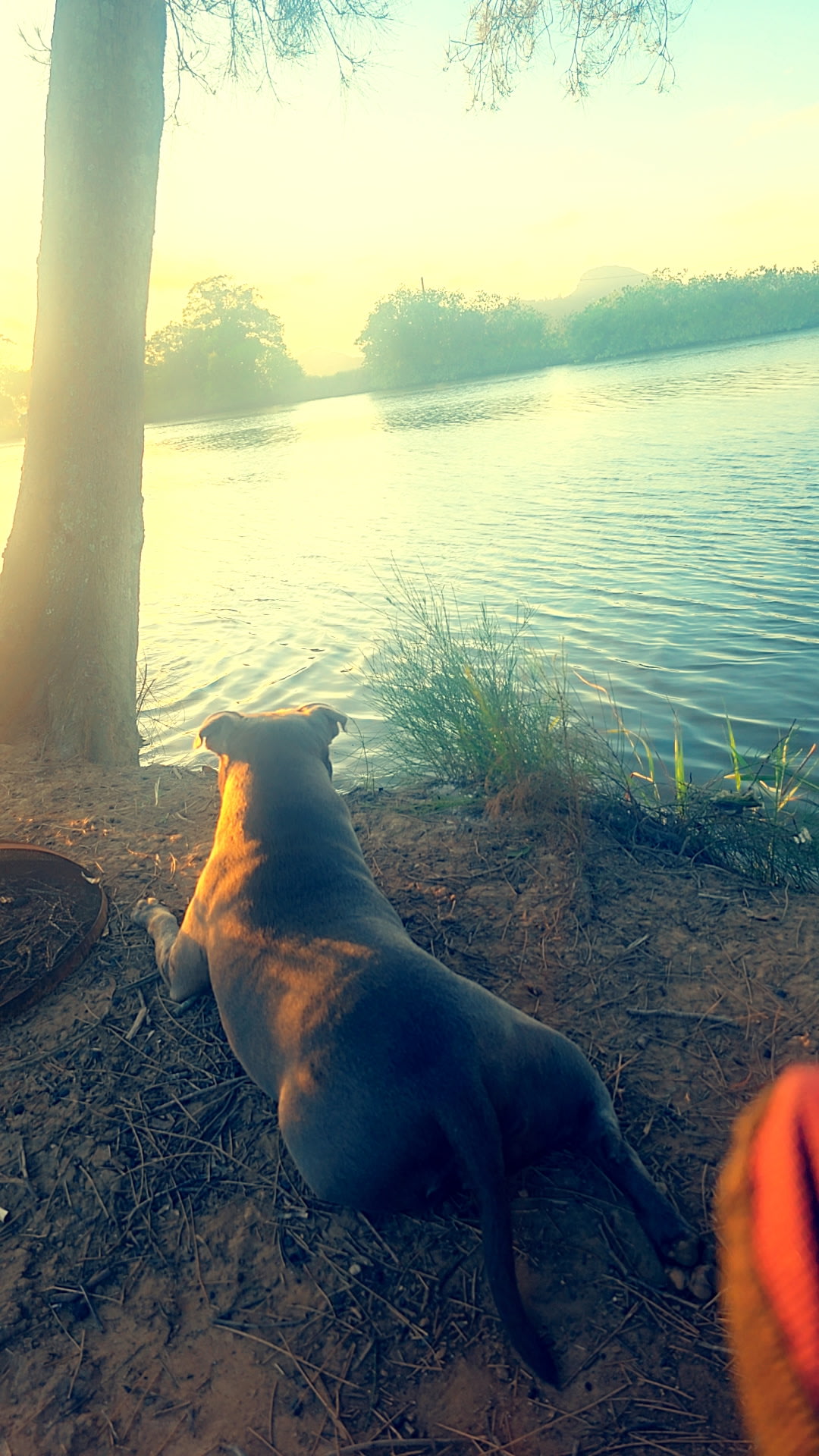 Burtons Riverside Campgrounds