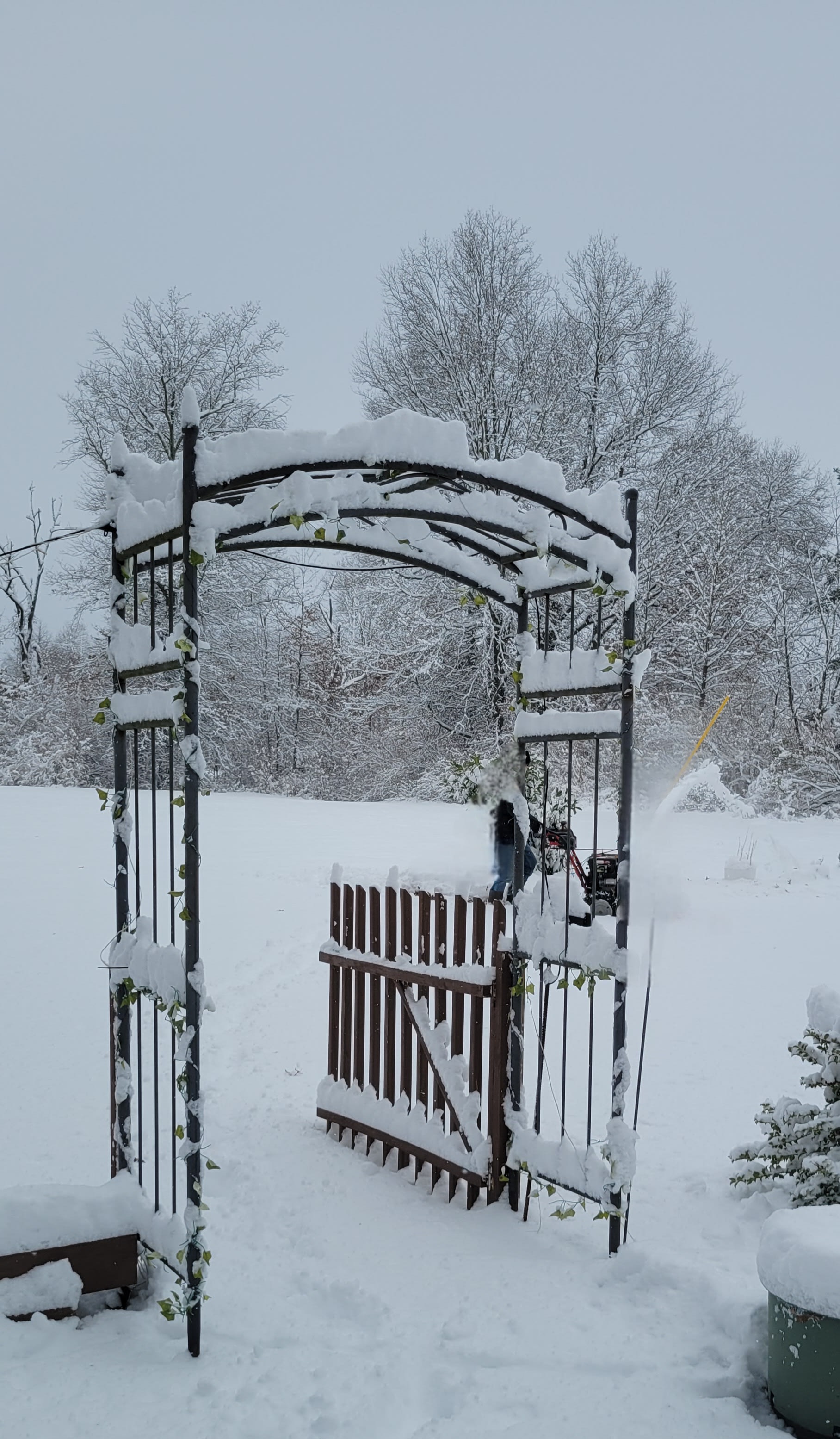 The Gateway to Little "Log Cabin"