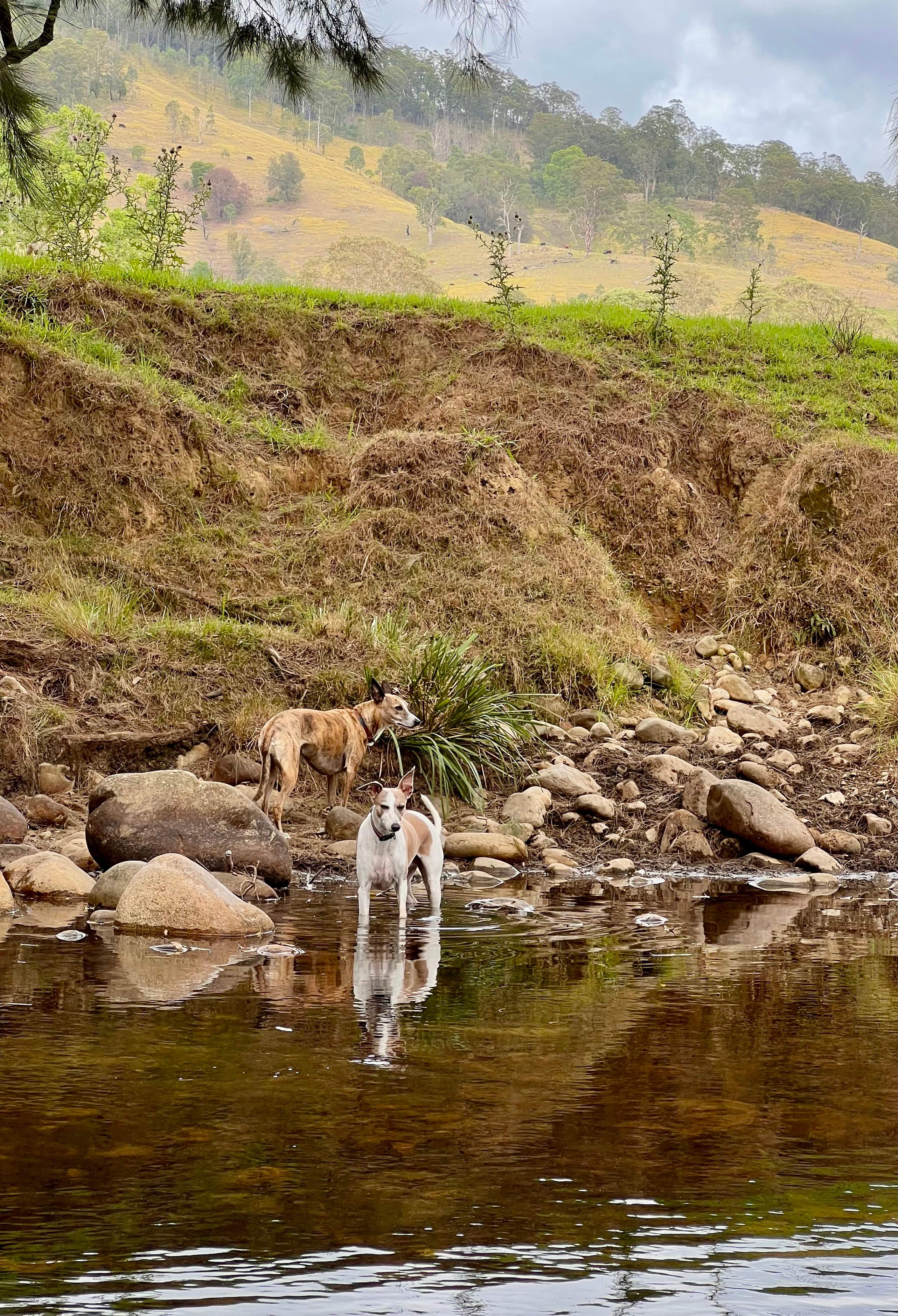 Riverbend Retreat Solo camping