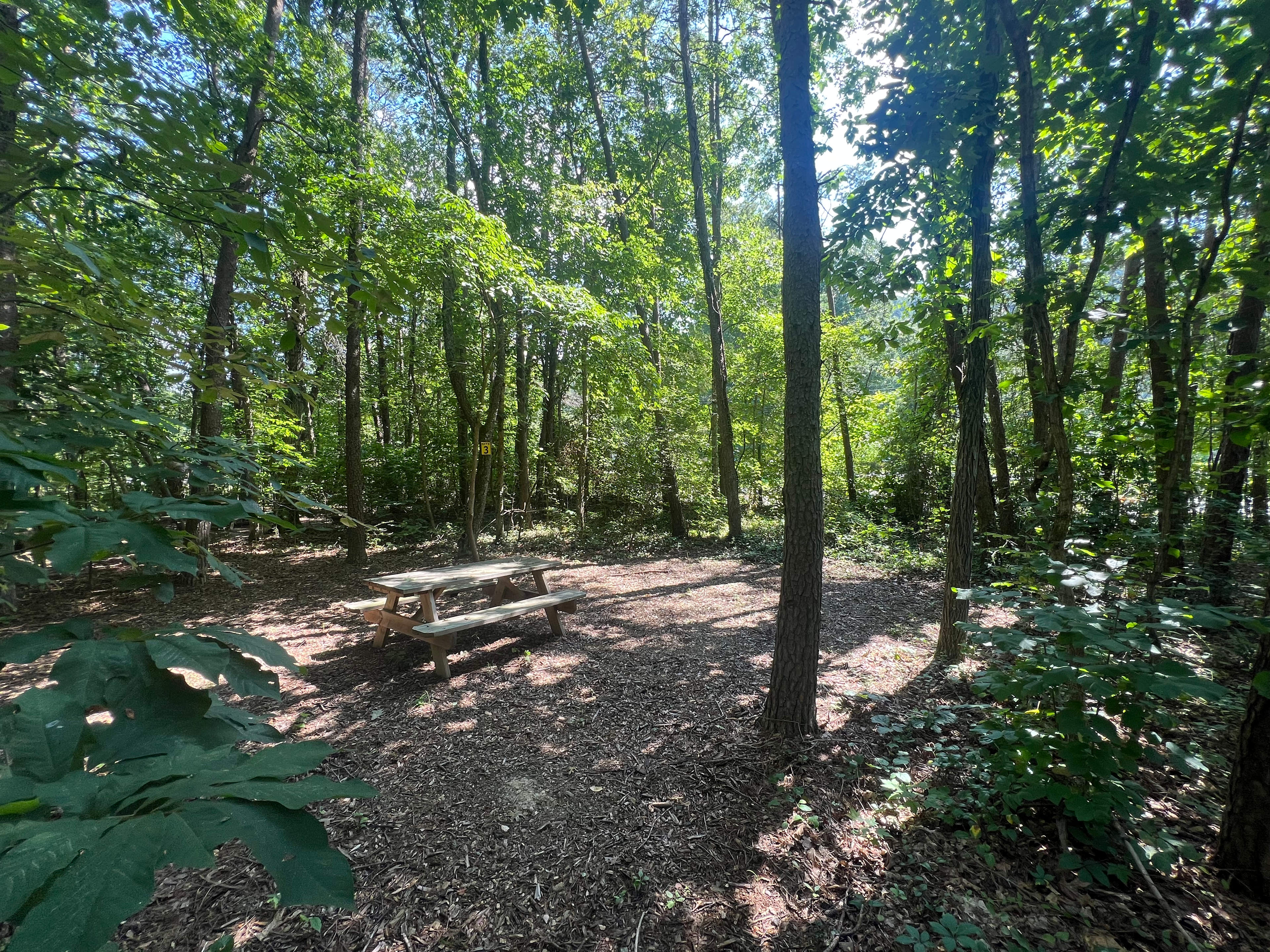 Smokey’s Hideaway & River Camp