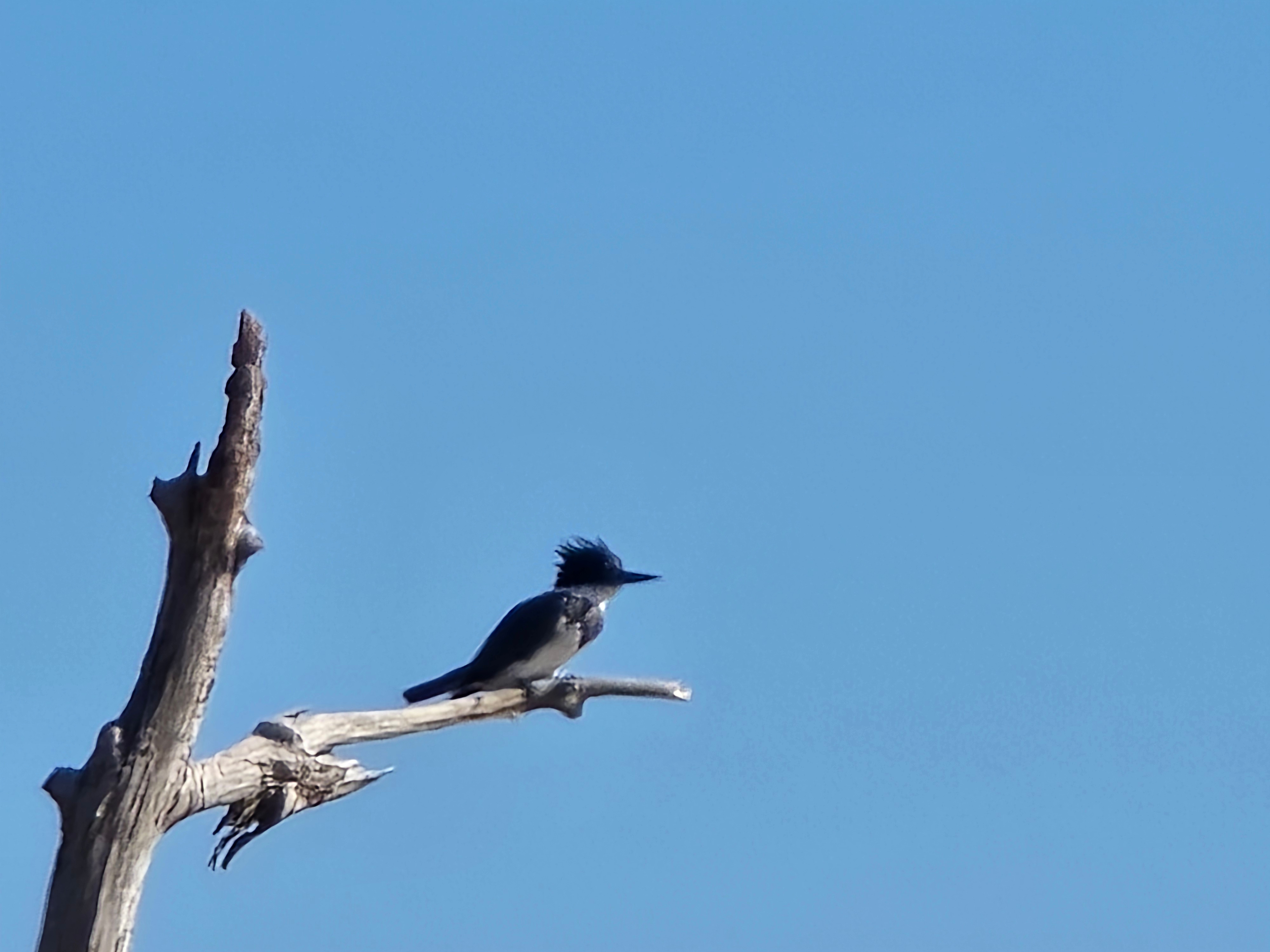 Secluded Waterfront Camping
