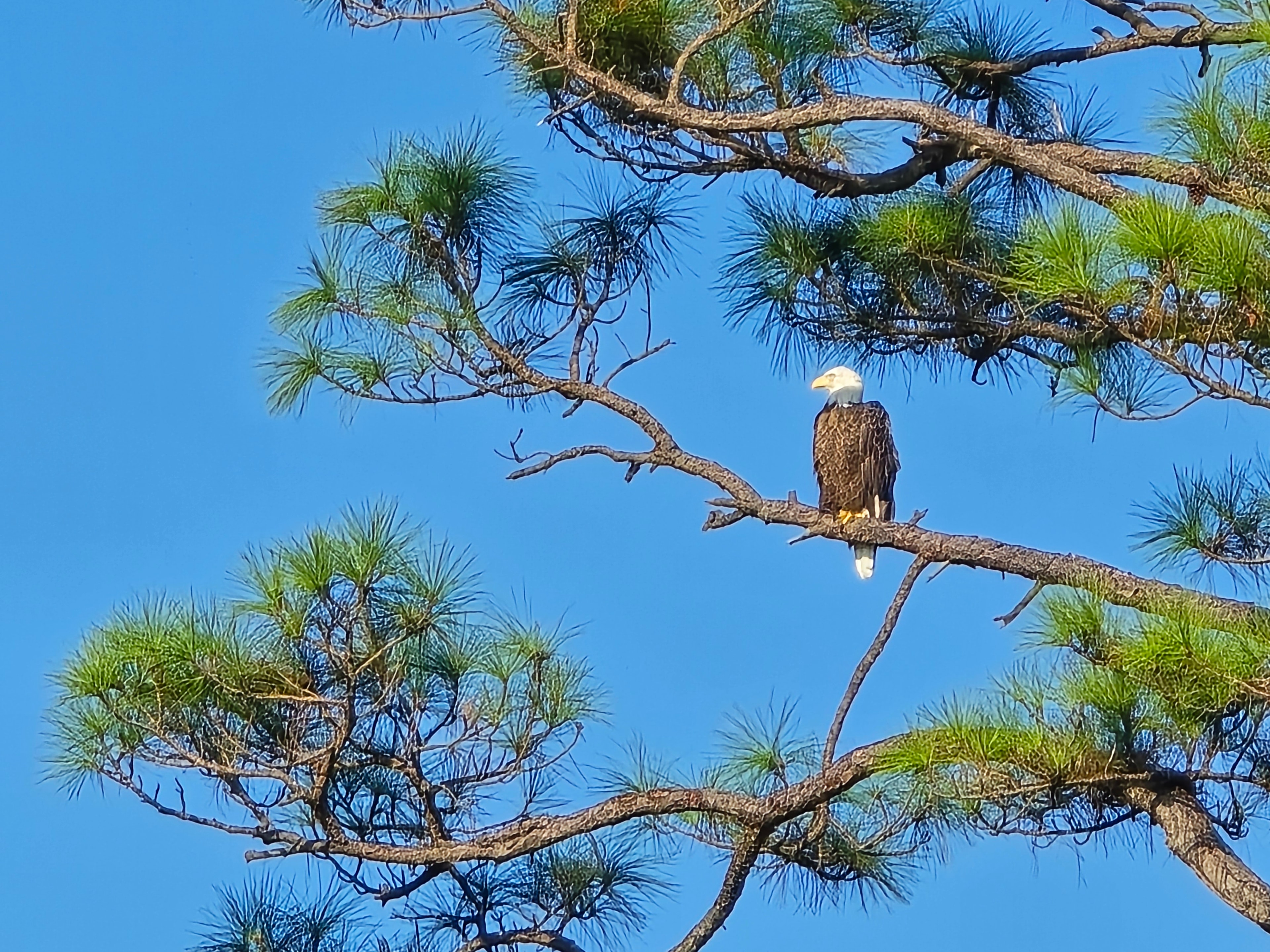 Secluded Waterfront Camping