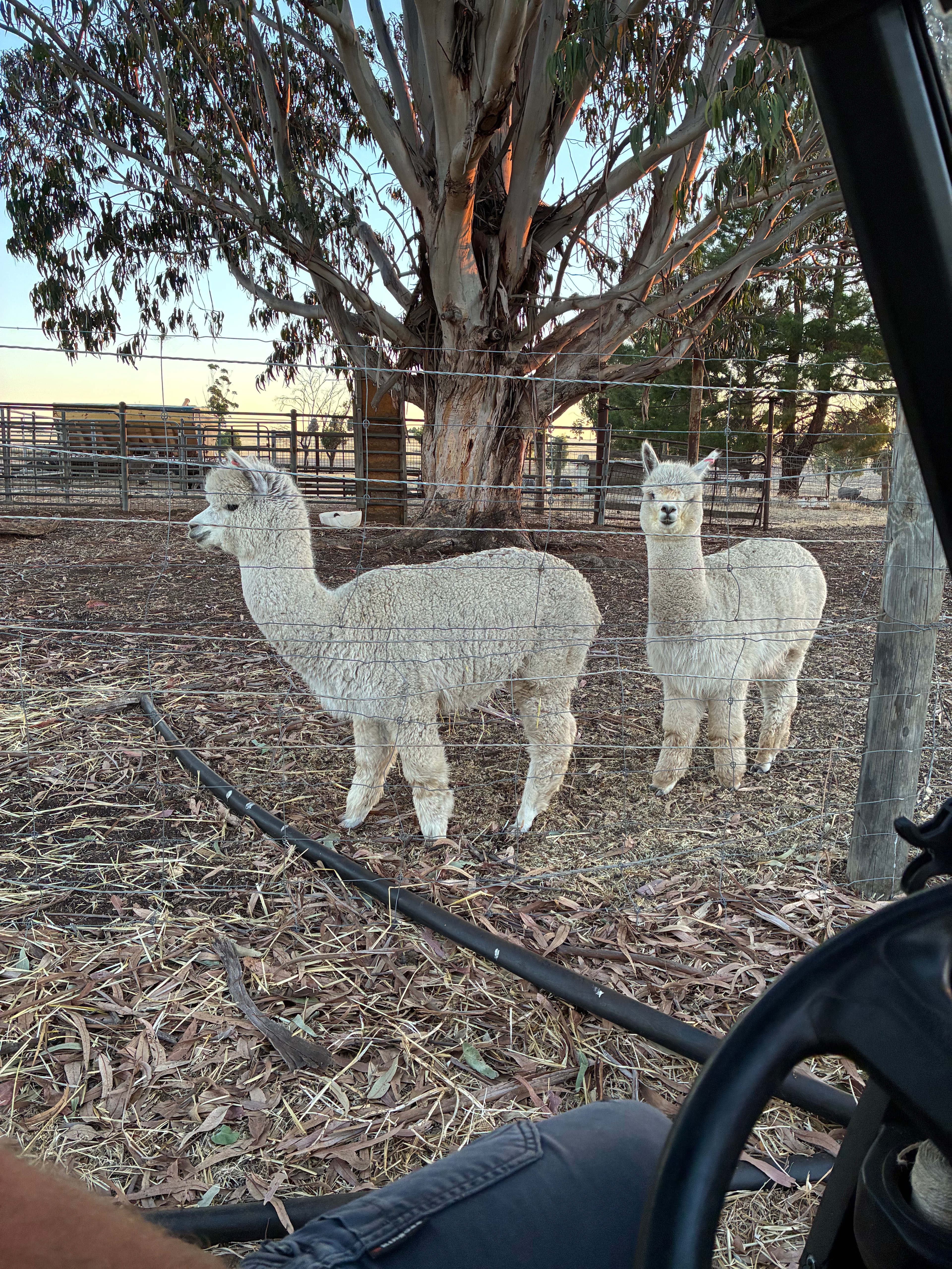 Downderry Estate Farmstay