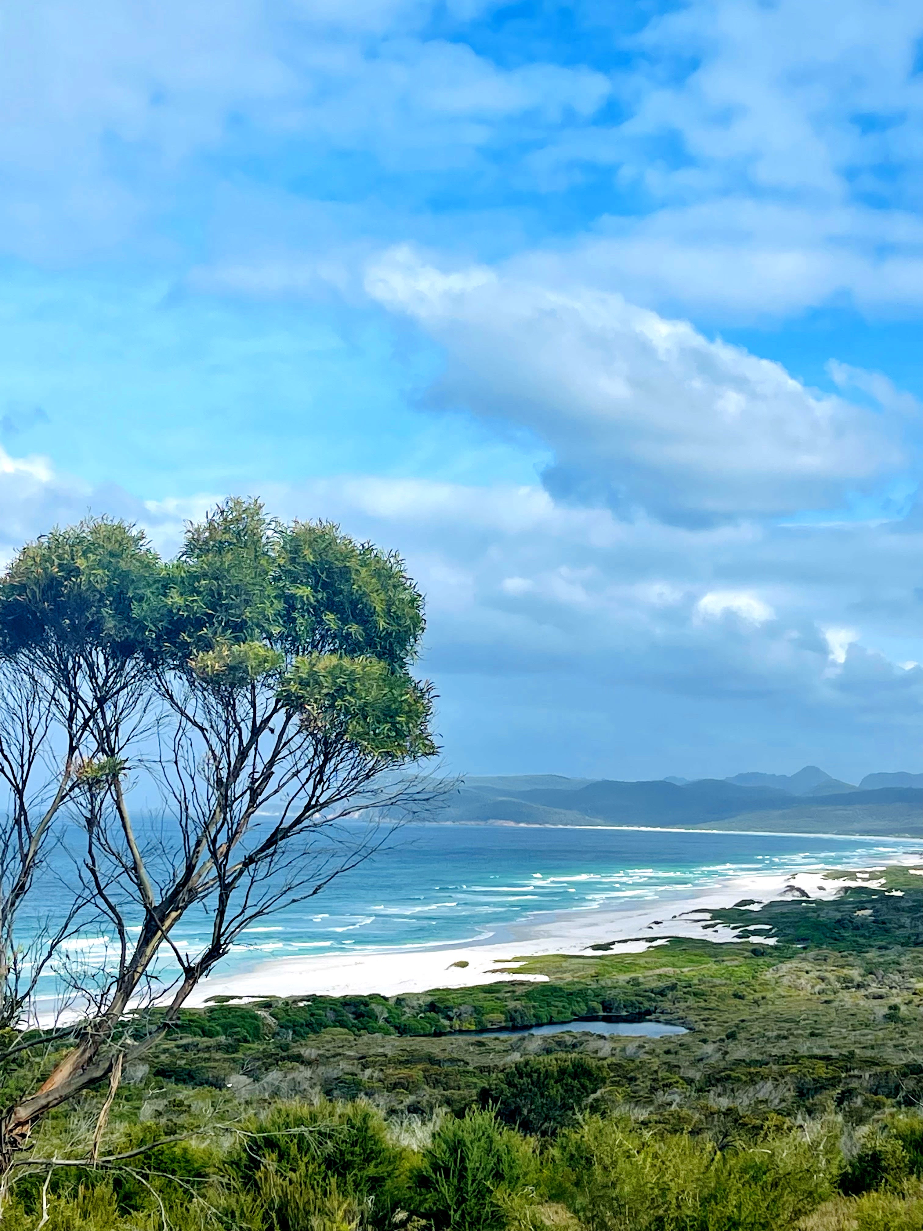 The Nest - Private Nature Reserve