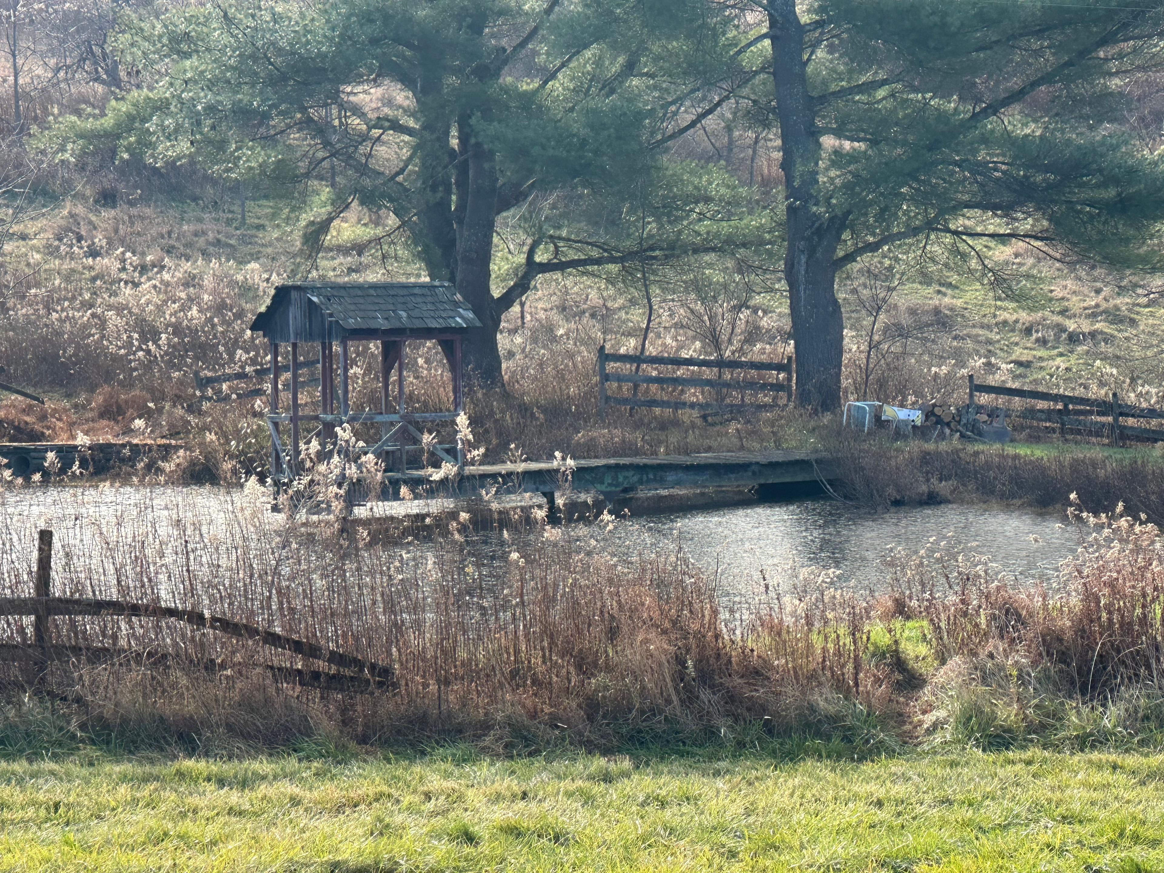 Dancing Hen Farm